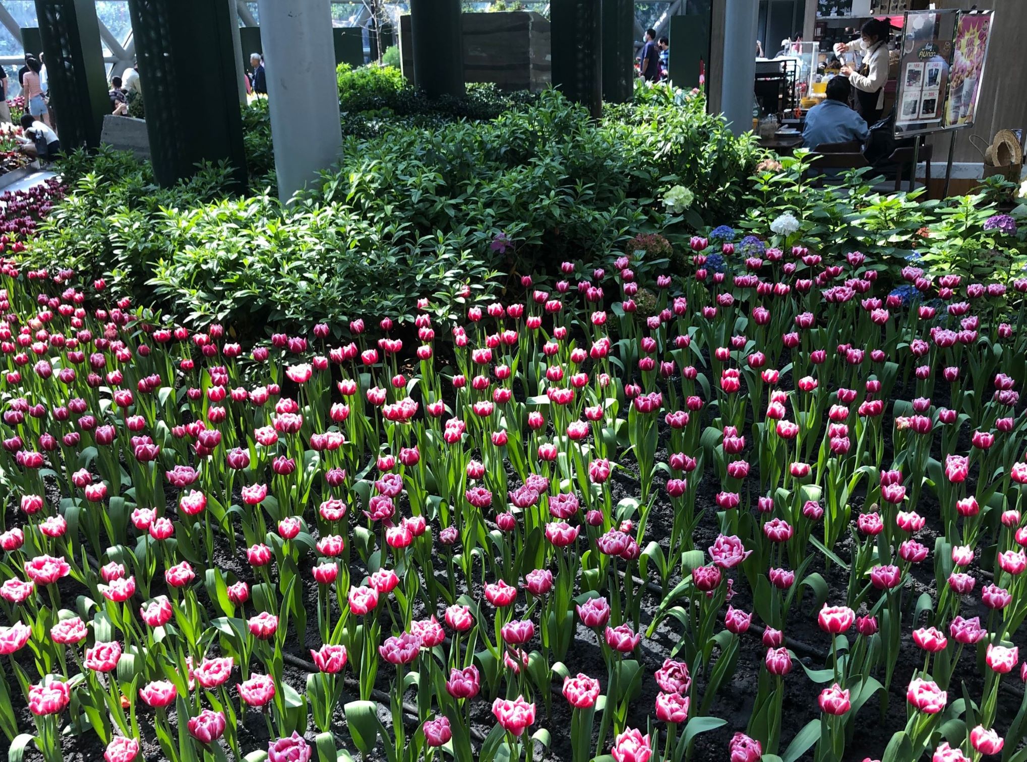 Flora Exhibition Hall, Rayong, Thailand