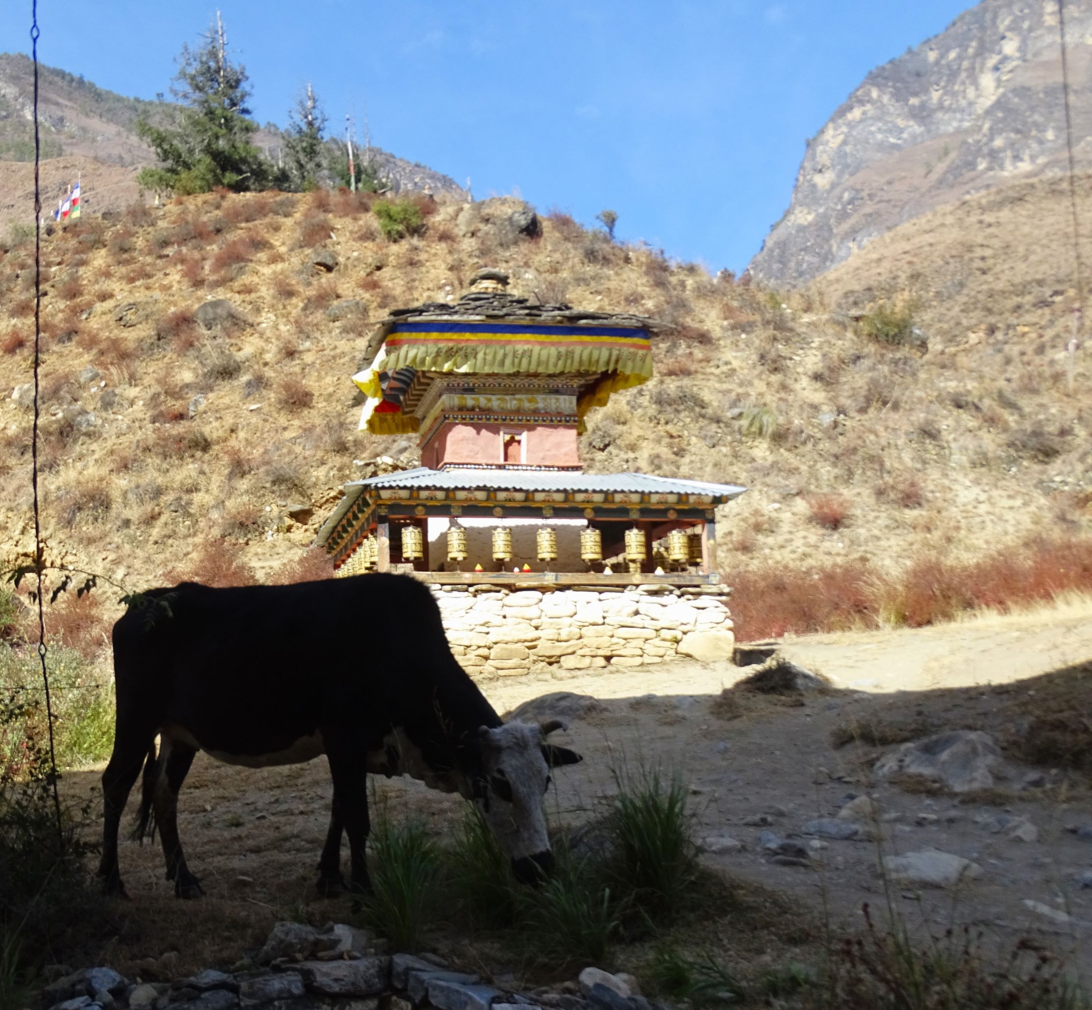 Tamchog Lhakhang, Paro, Bhutan