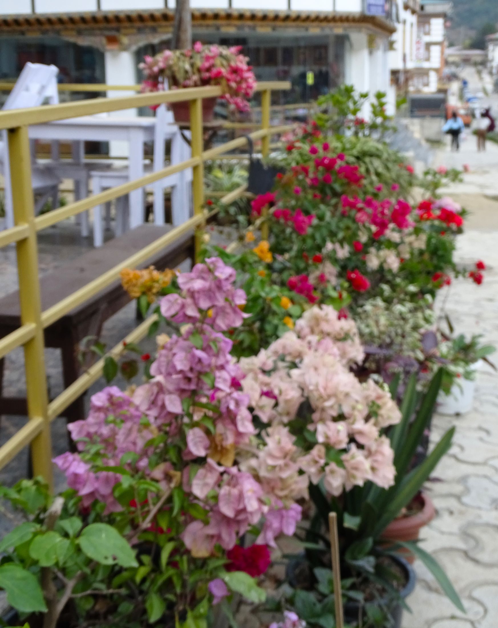 Thimphu, Bhutan 