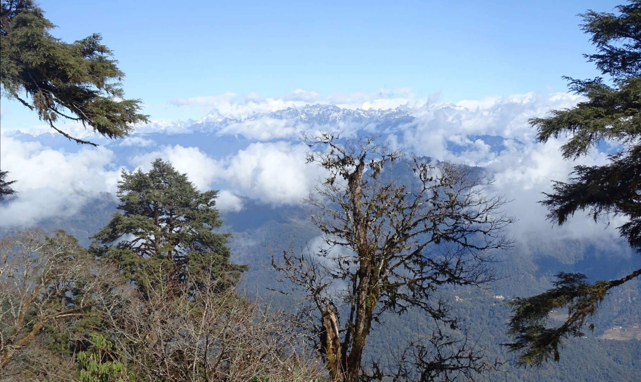 Dochula Pass, Bhutan