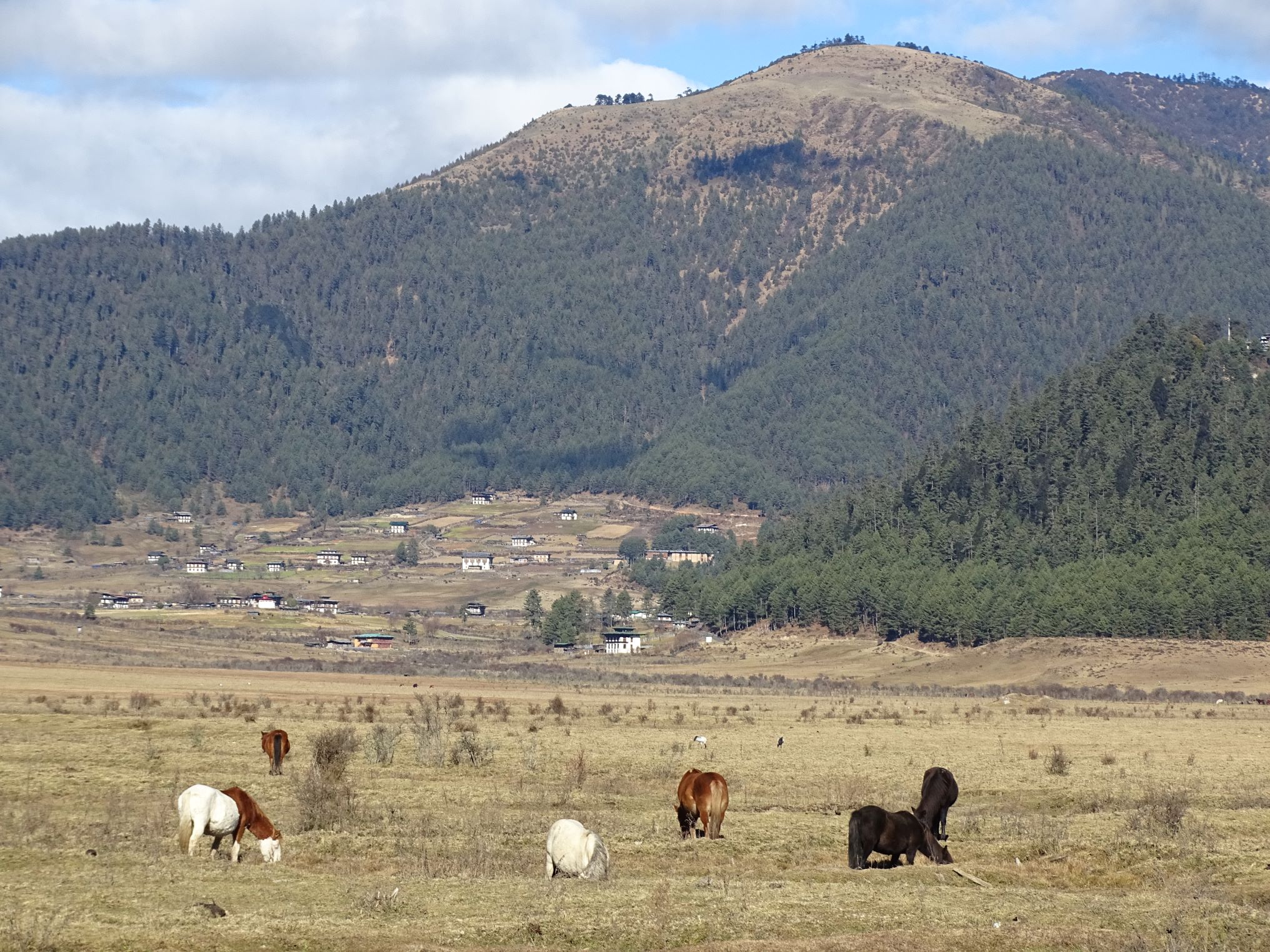 Phobjikha Valley, Bhutan