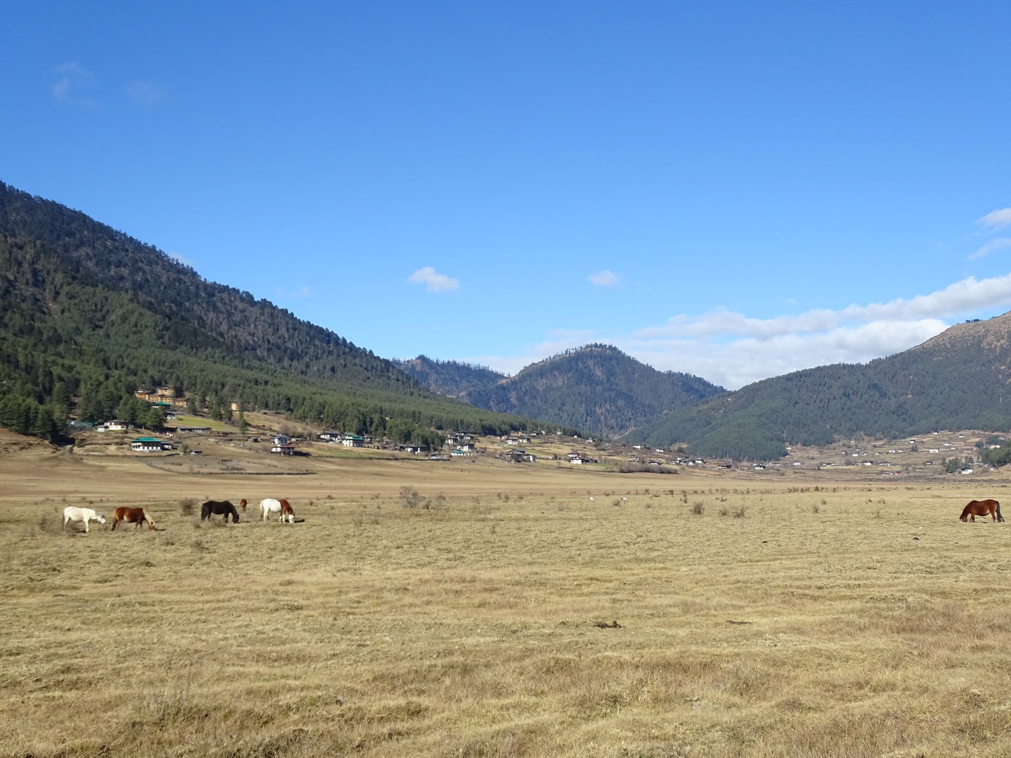 Phobjikha Valley, Bhutan