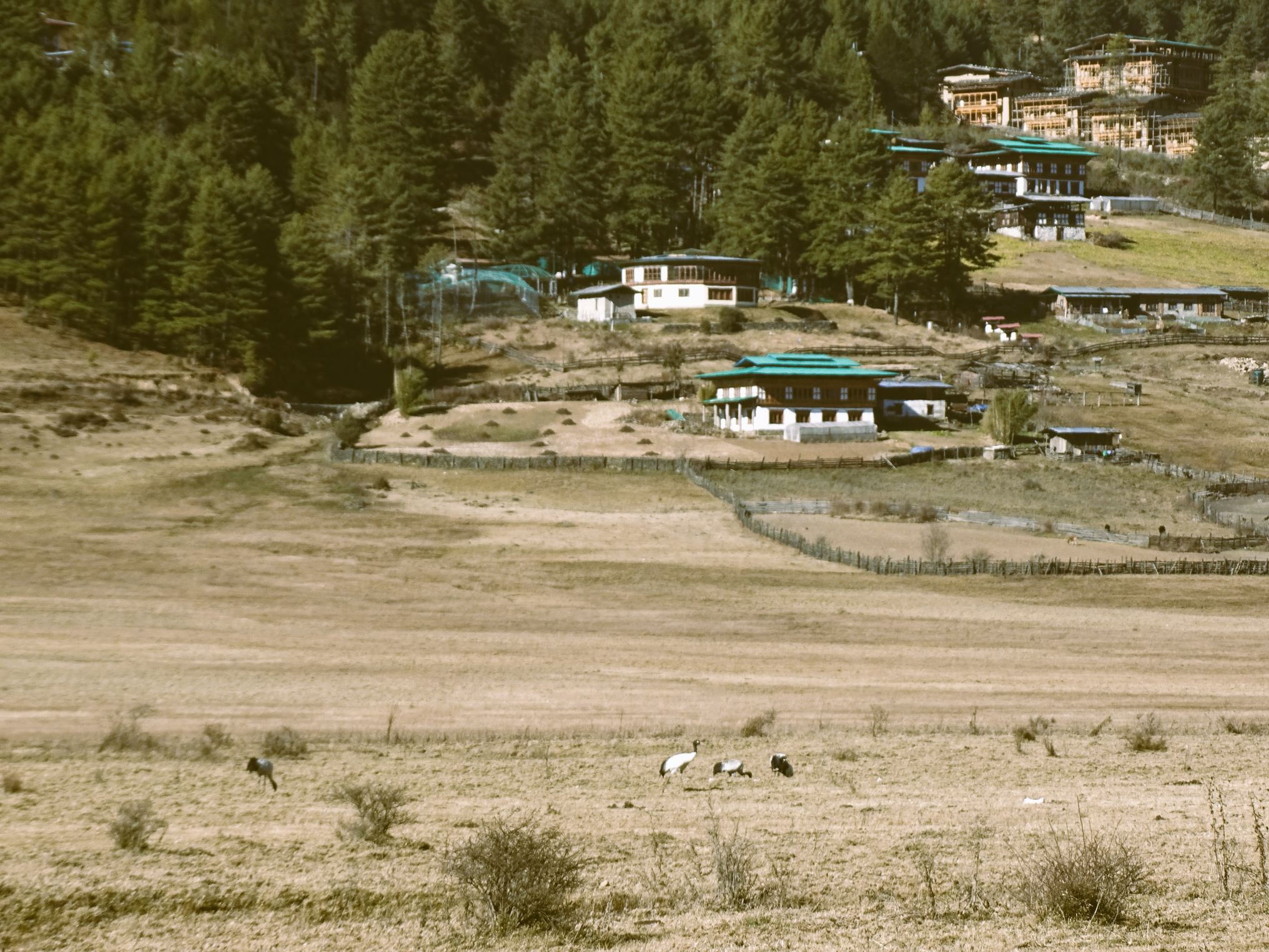 Phobjikha Valley, Bhutan