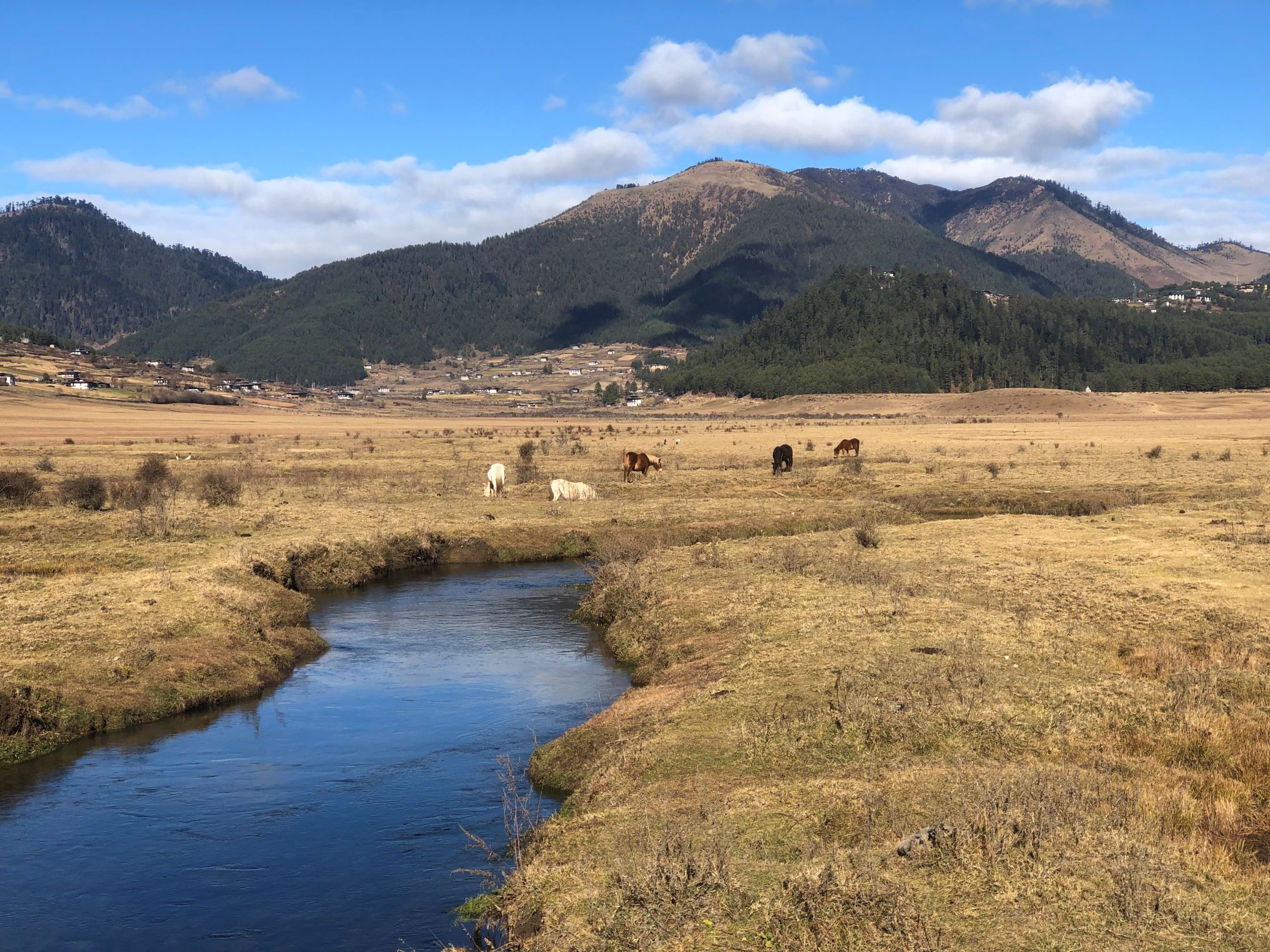 Phobjikha Valley, Bhutan