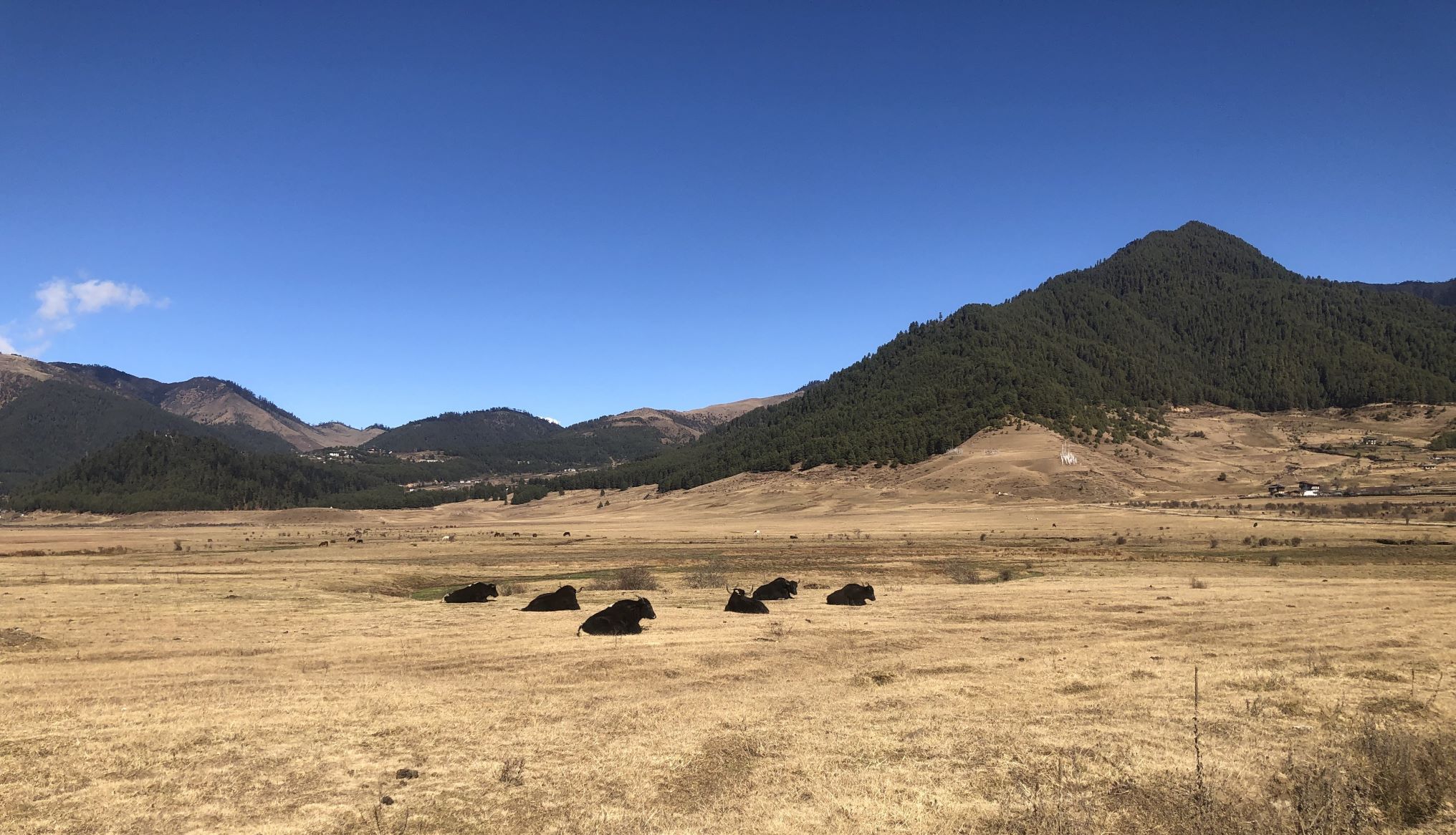 Phobjikha Valley, Bhutan