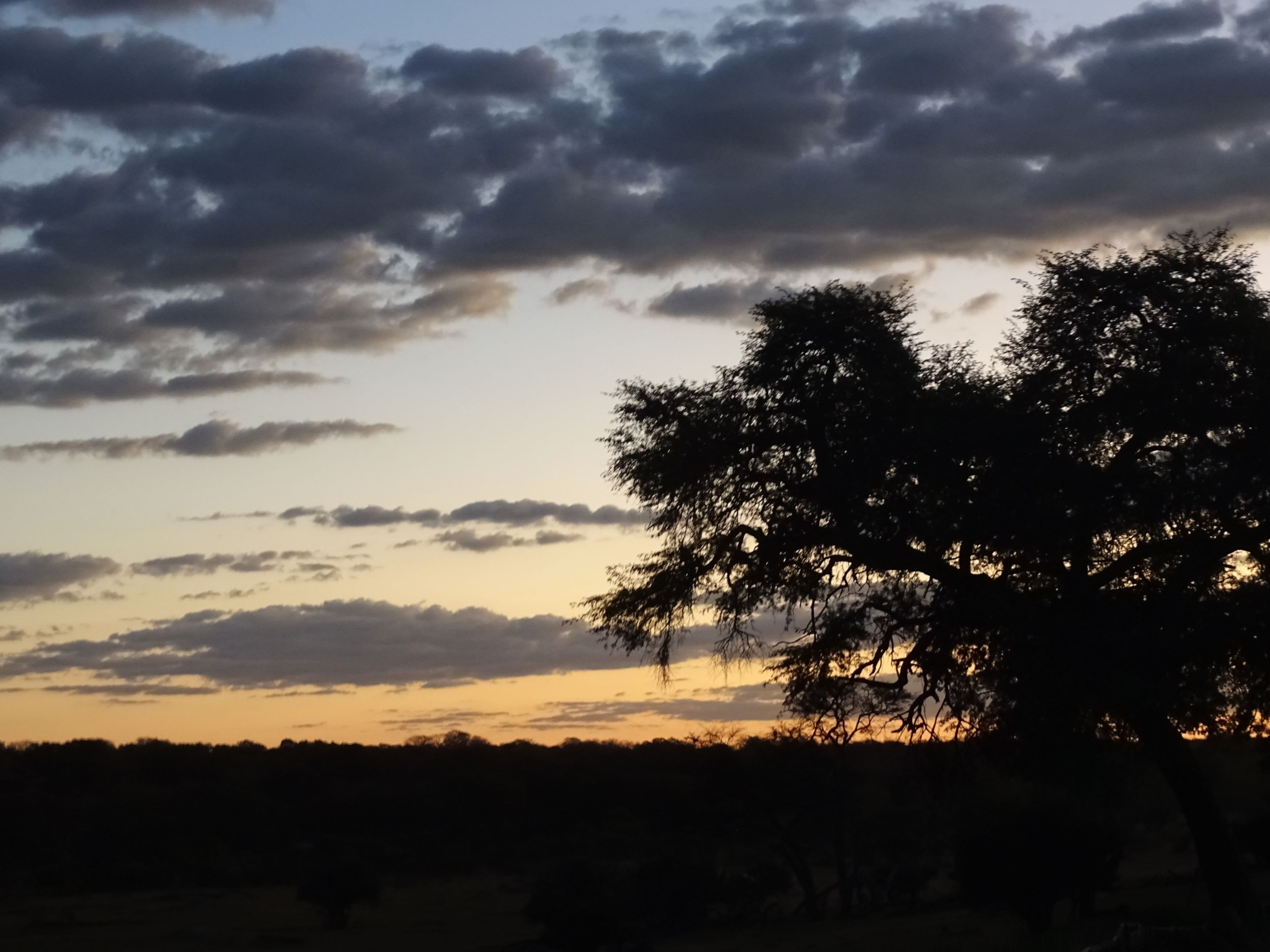 Hwange Safari Lodge, Zimbabwe