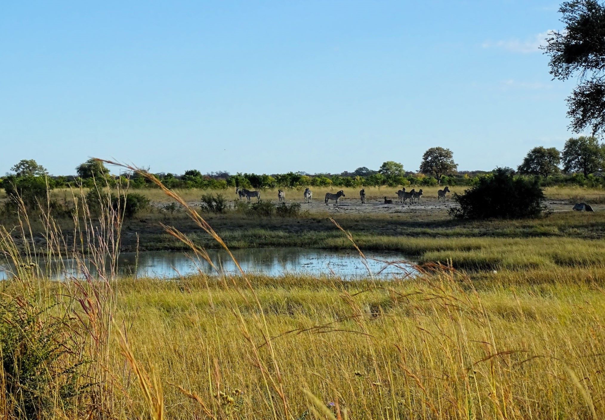  Hwange National Park, Zimbabwe