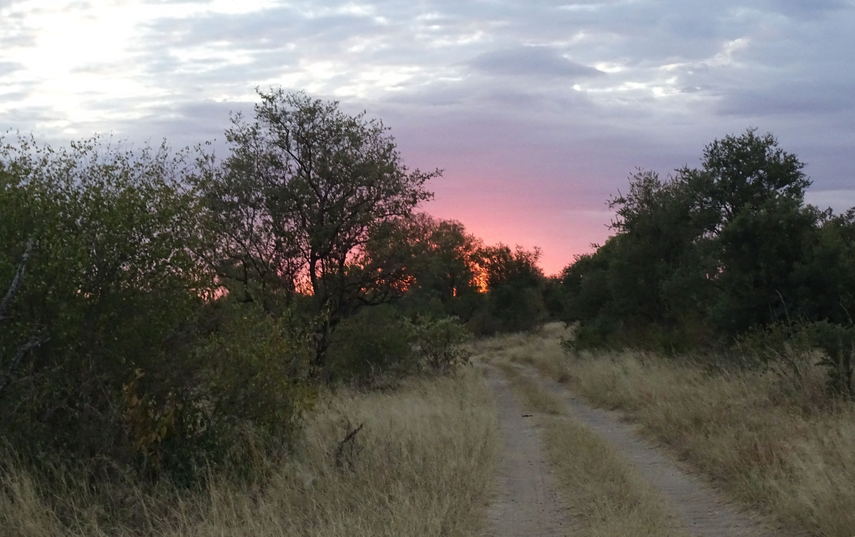  Hwange National Park, Zimbabwe