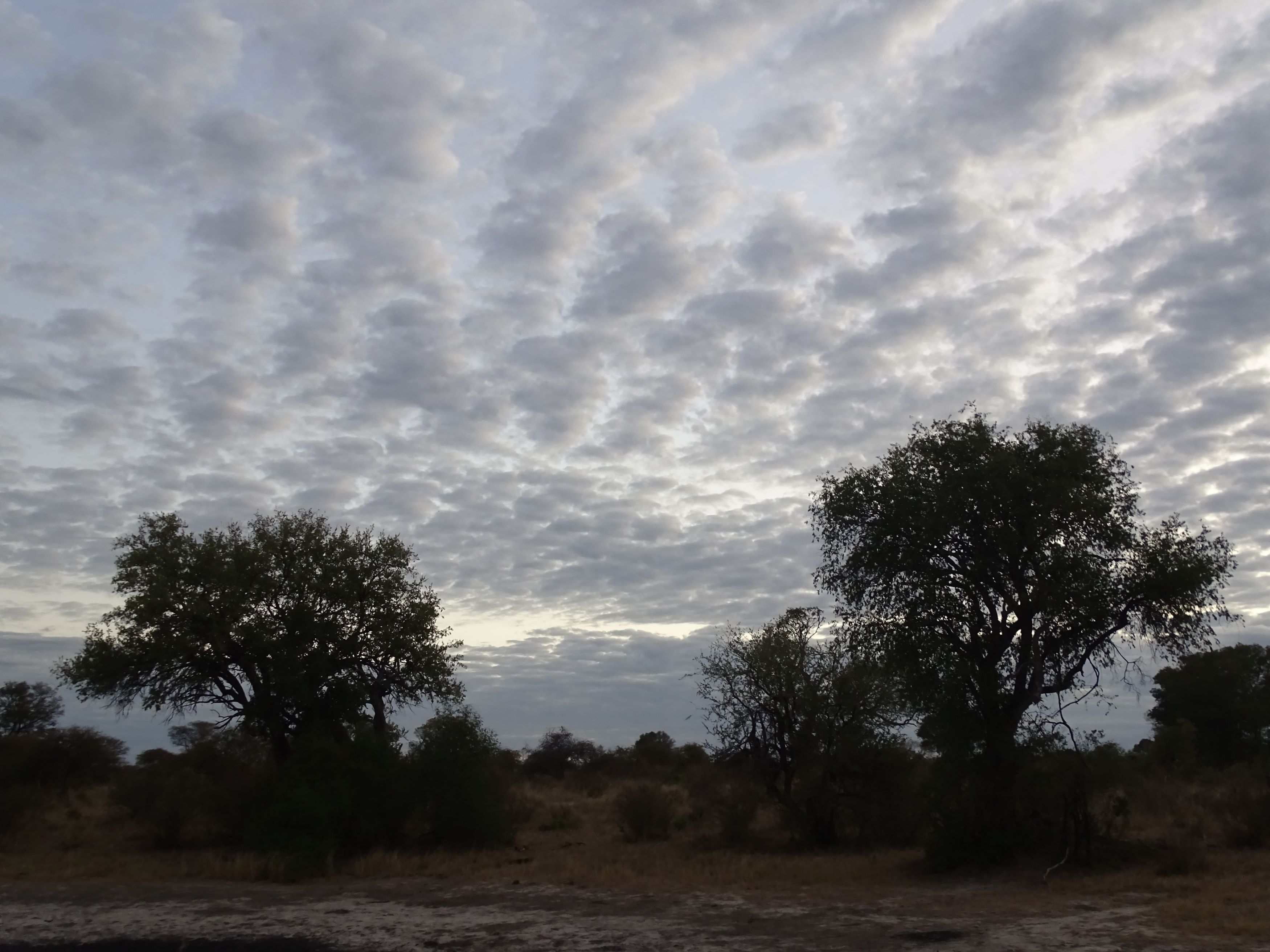  Hwange National Park, Zimbabwe