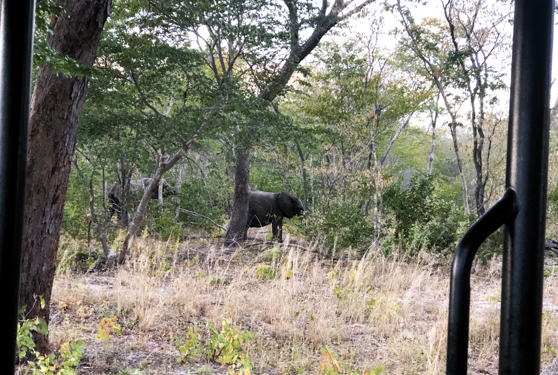  Hwange National Park