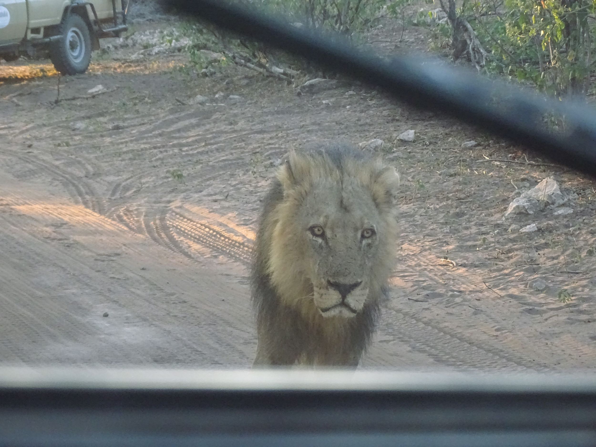 Chobe National Park, Botswana 