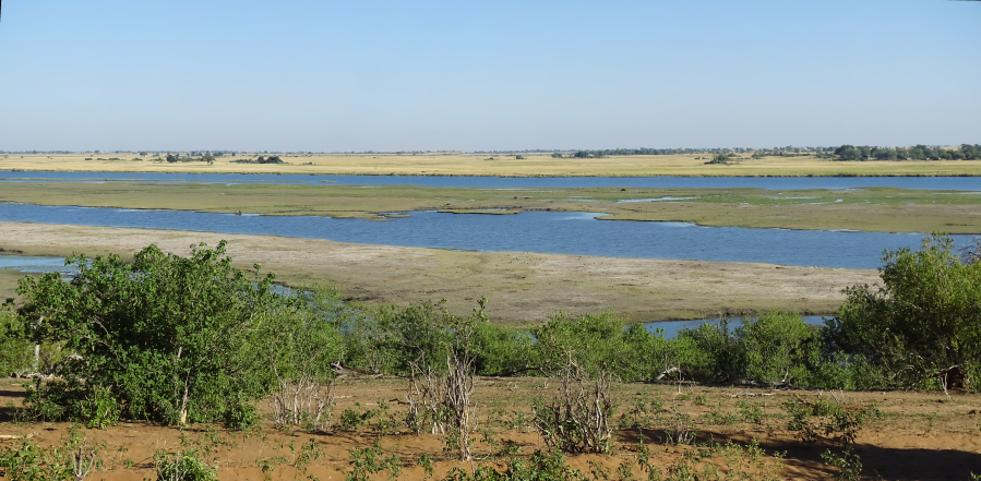 Chobe National Park, Botswana 