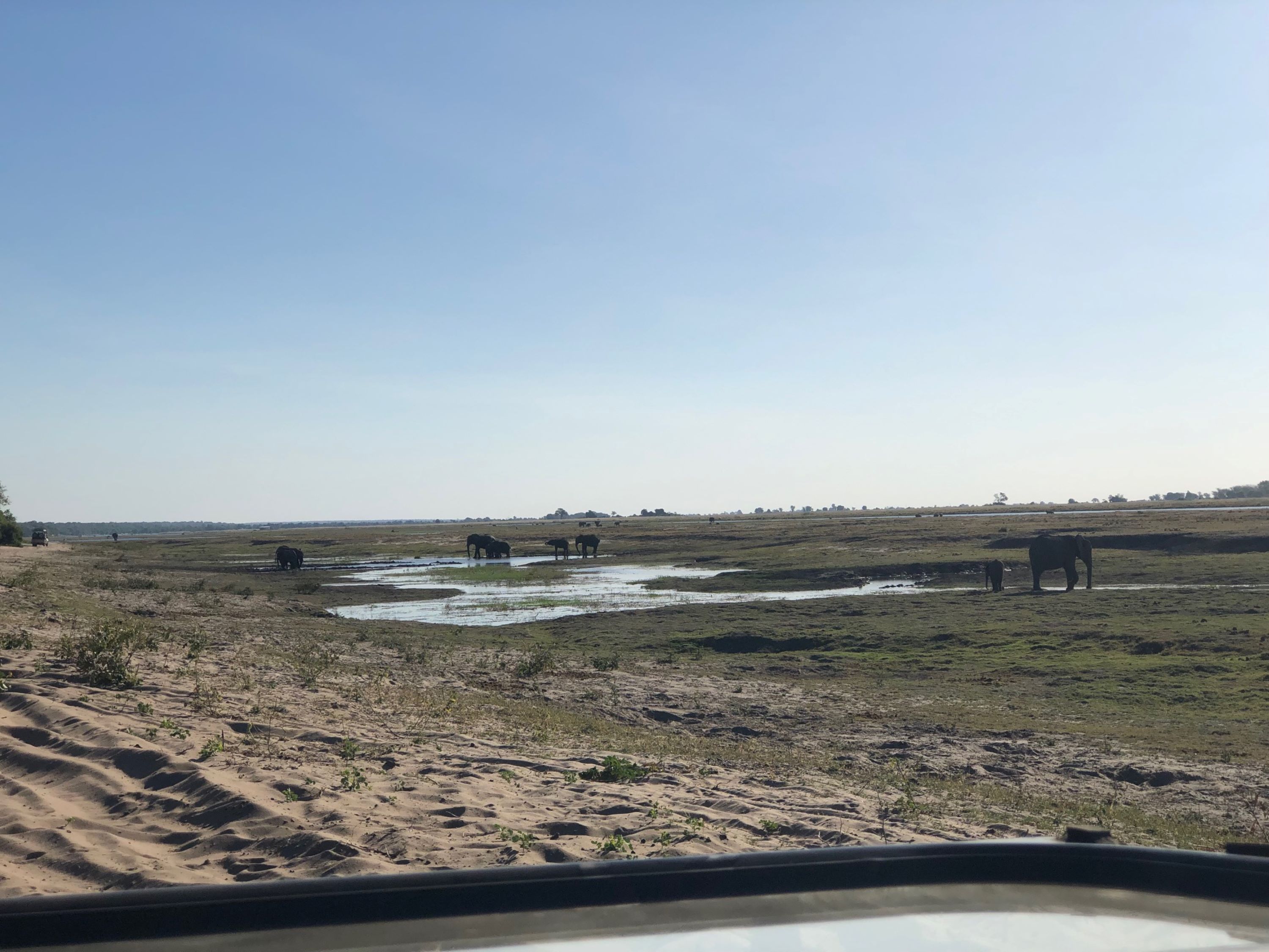 Cooling Off,  Chobe National Park, Botswana