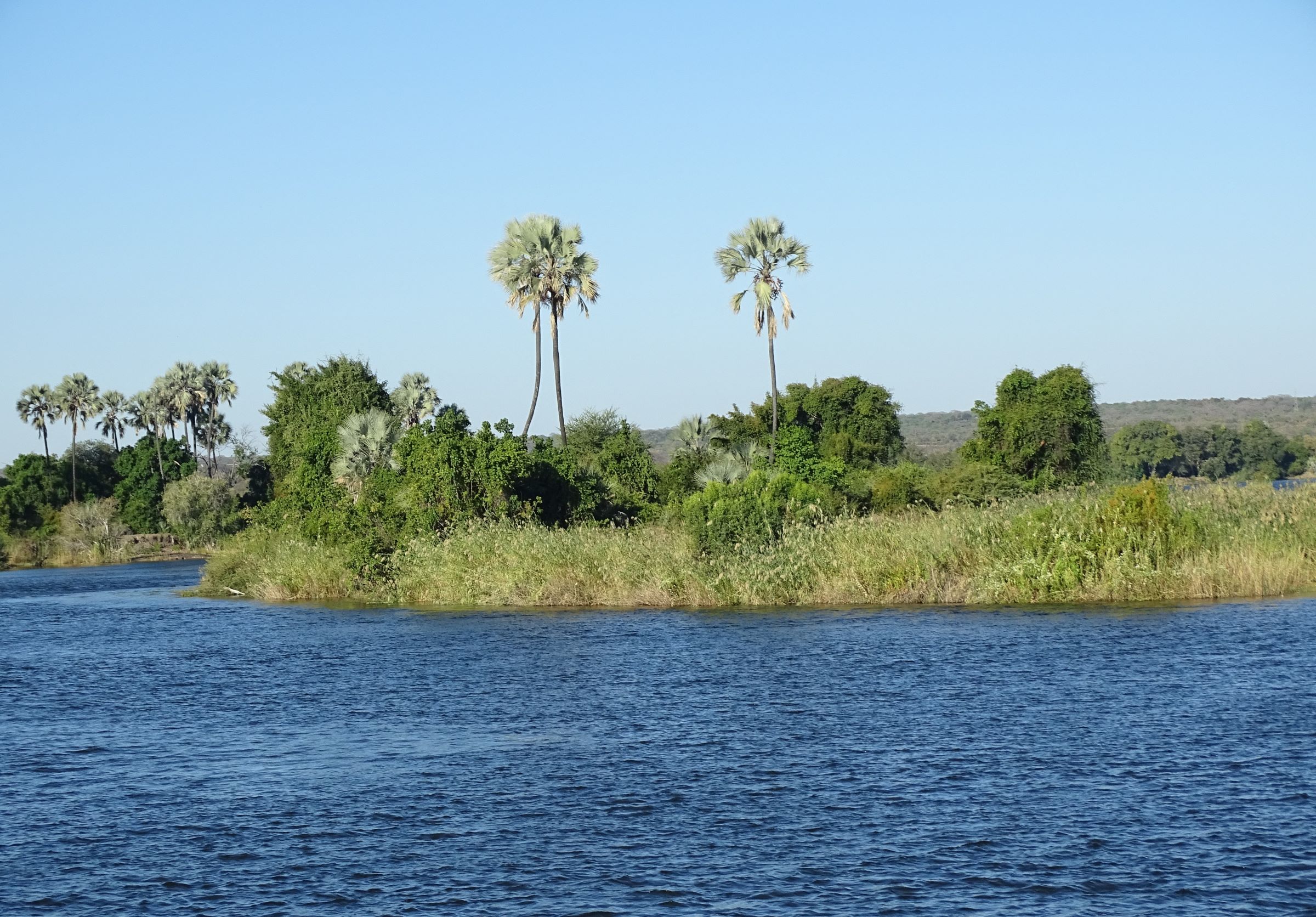 Zambezi River