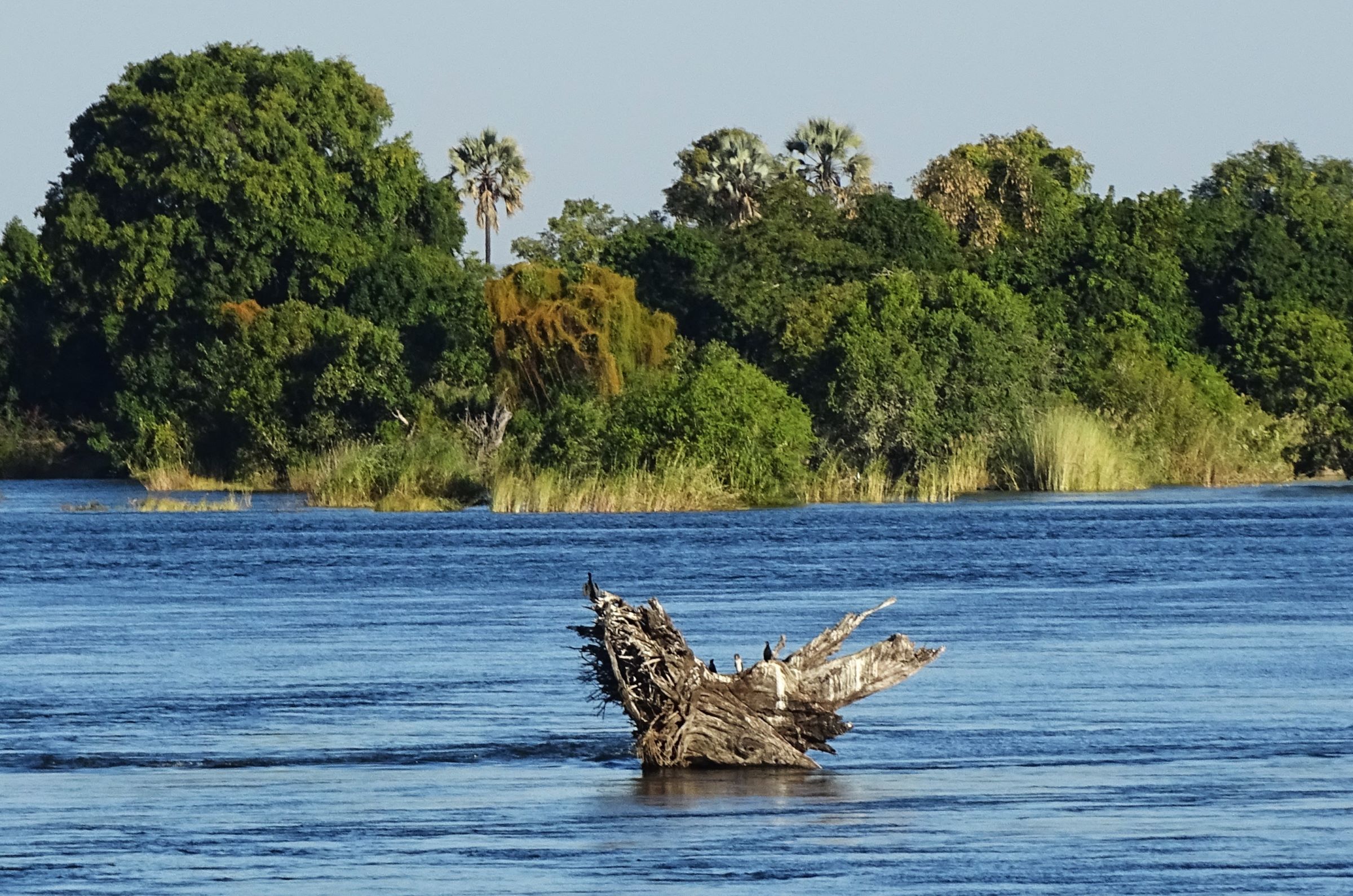 Zambezi River