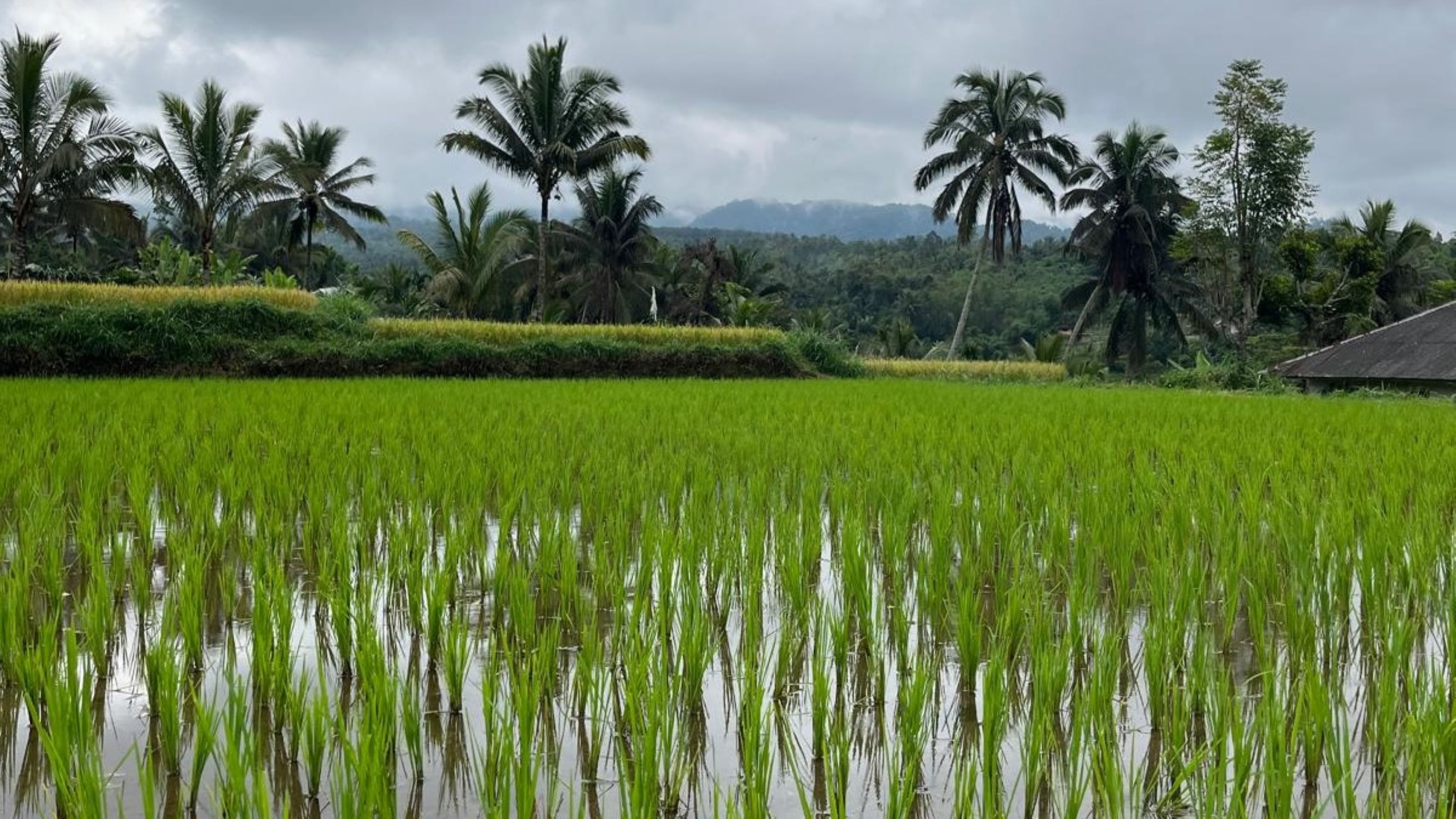 Lombok Island, Indonesia