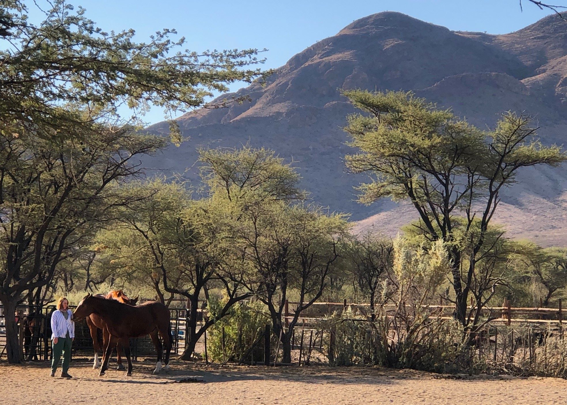 Bullsport Guestfarm, Naukluft Mountains, Namibia