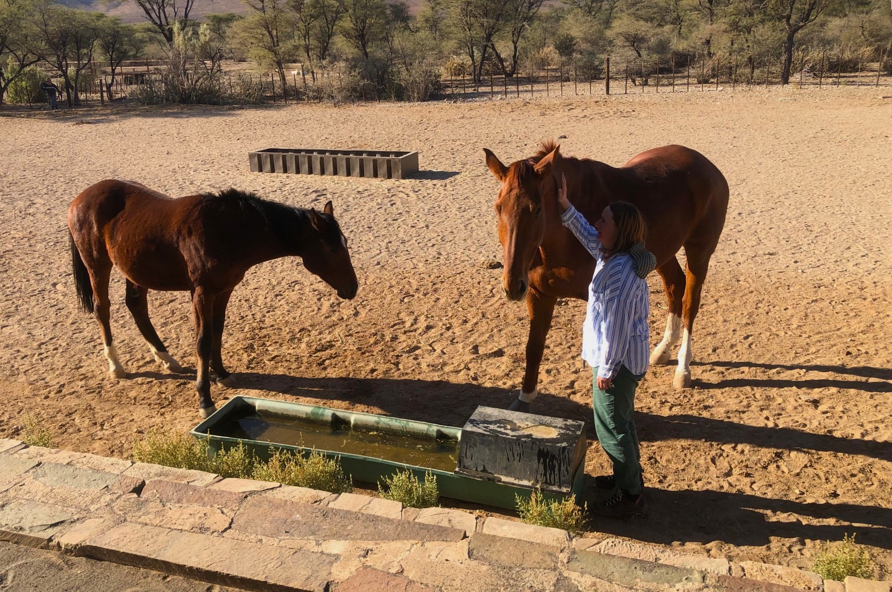 Bullsport Guestfarm, Naukluft Mountains, Namibia