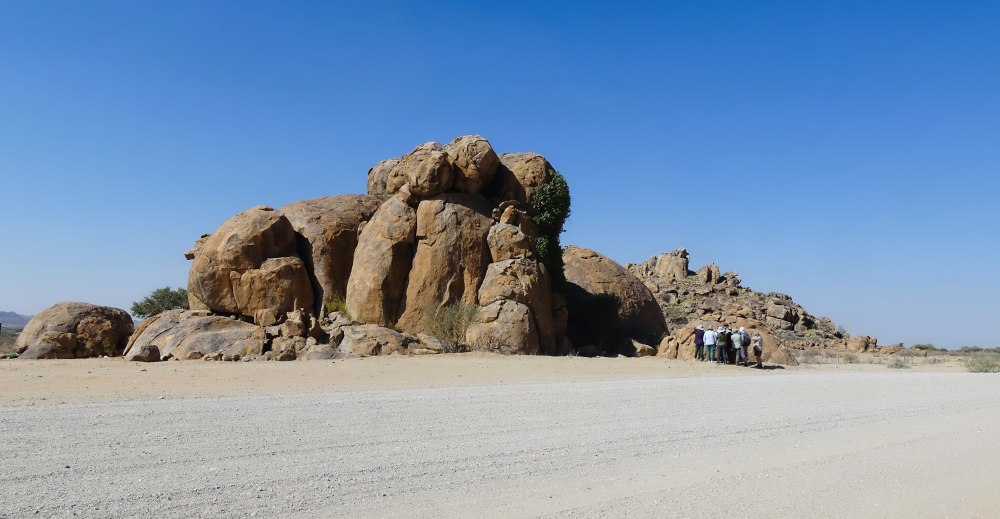 Granite Outcrop and Fig Tree, Kobos, Namibia