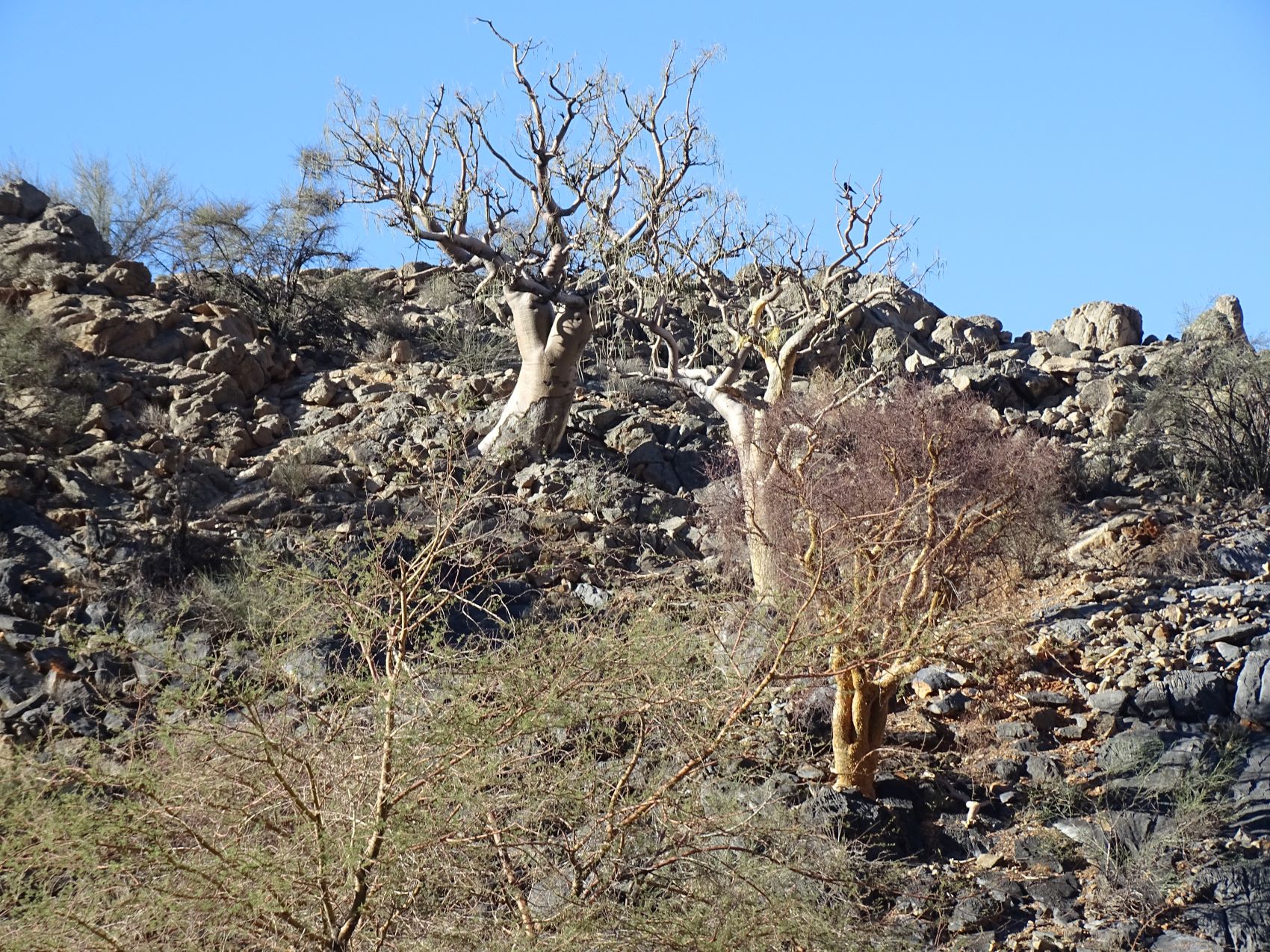 Naukluft Mountains, Namibia