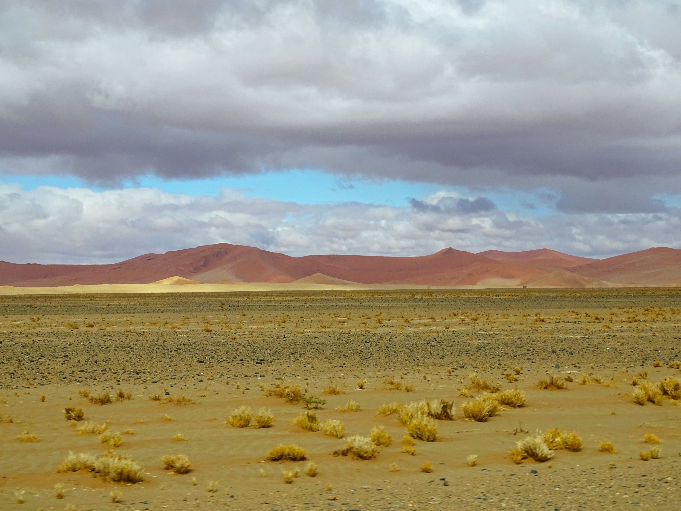 Namib-Naukluft National Park, Namibia 