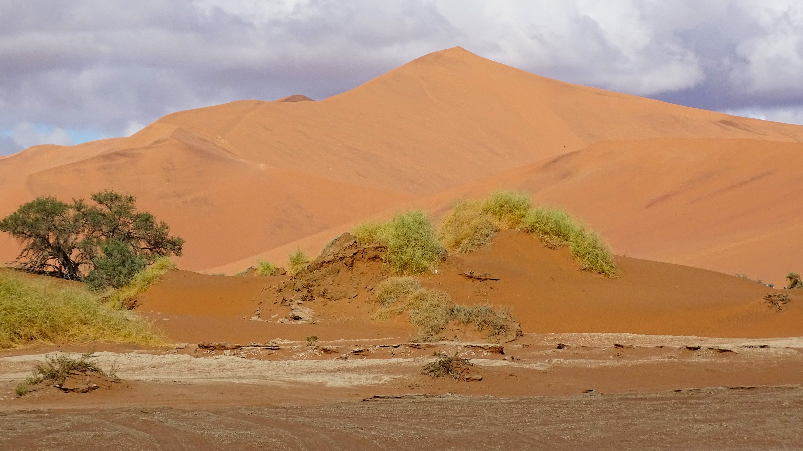 Sossusvlei Dunes, Namibia