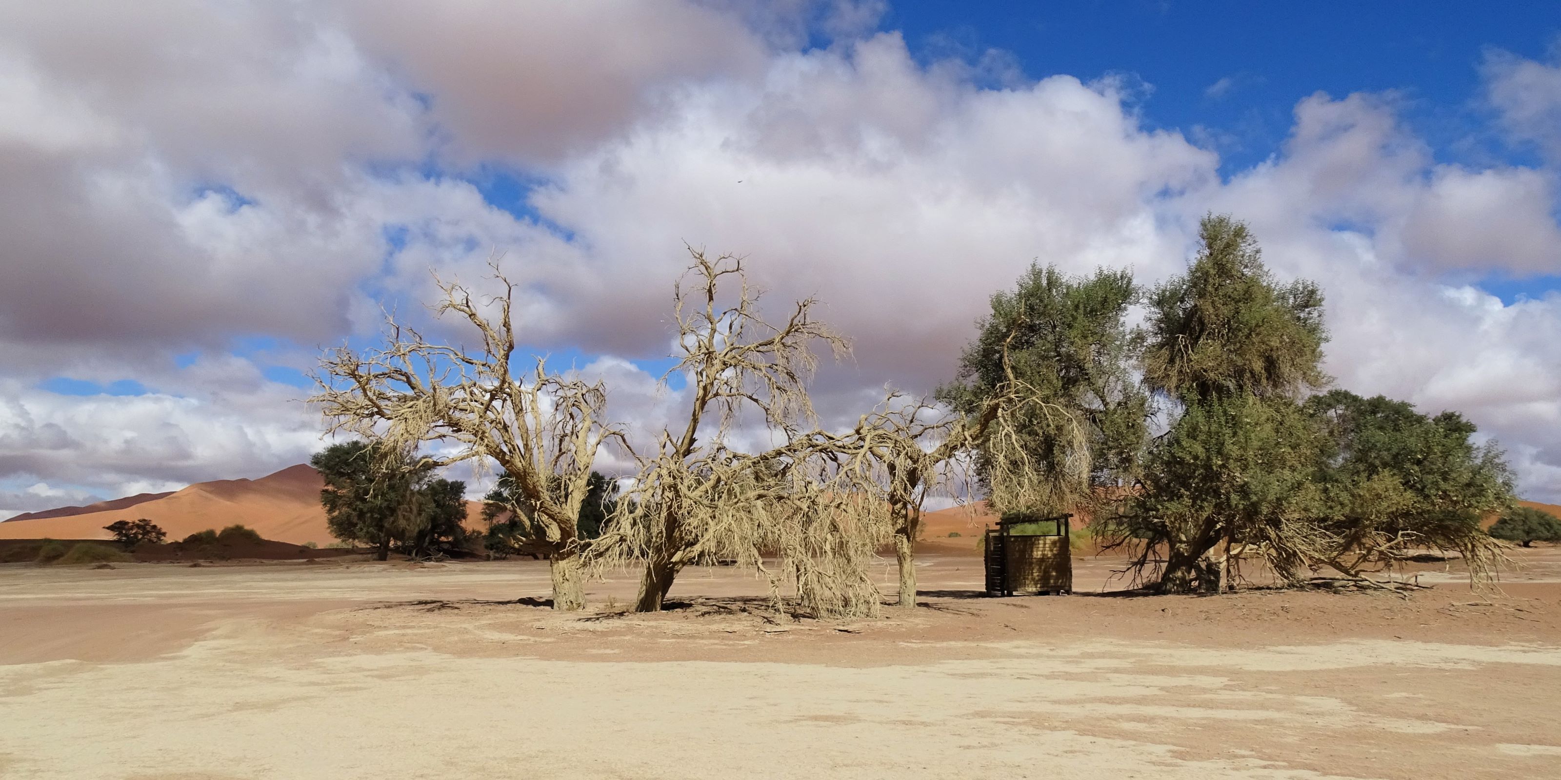 Sossusvlei Dunes, Namibia