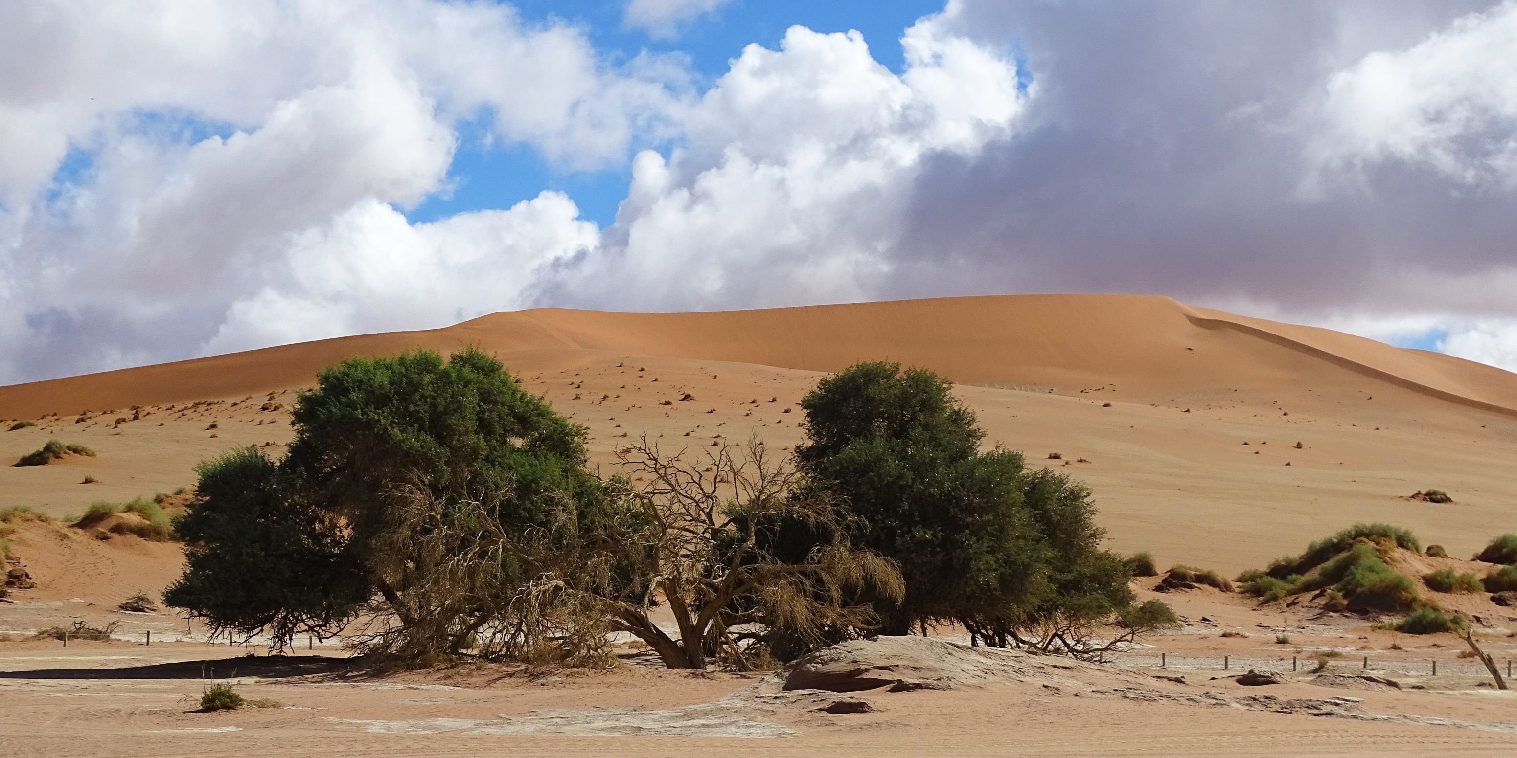 Sossusvlei Dunes, Namibia