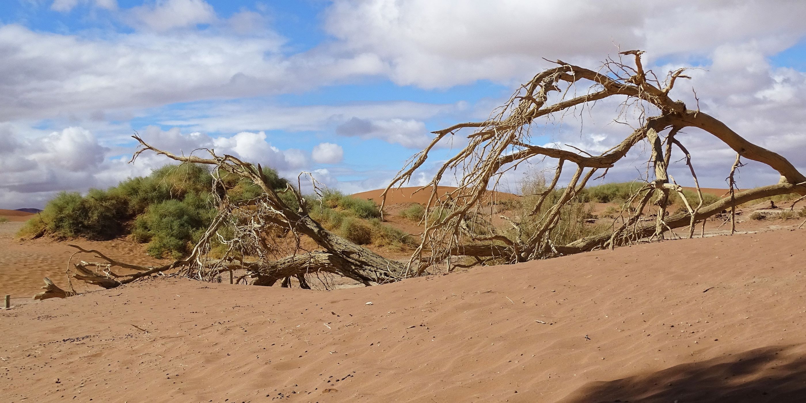 Sossusvlei Dunes, Namibia