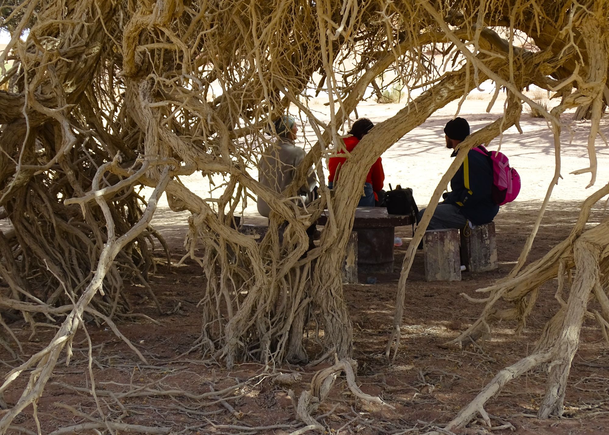 Sossusvlei Dunes, Namibia