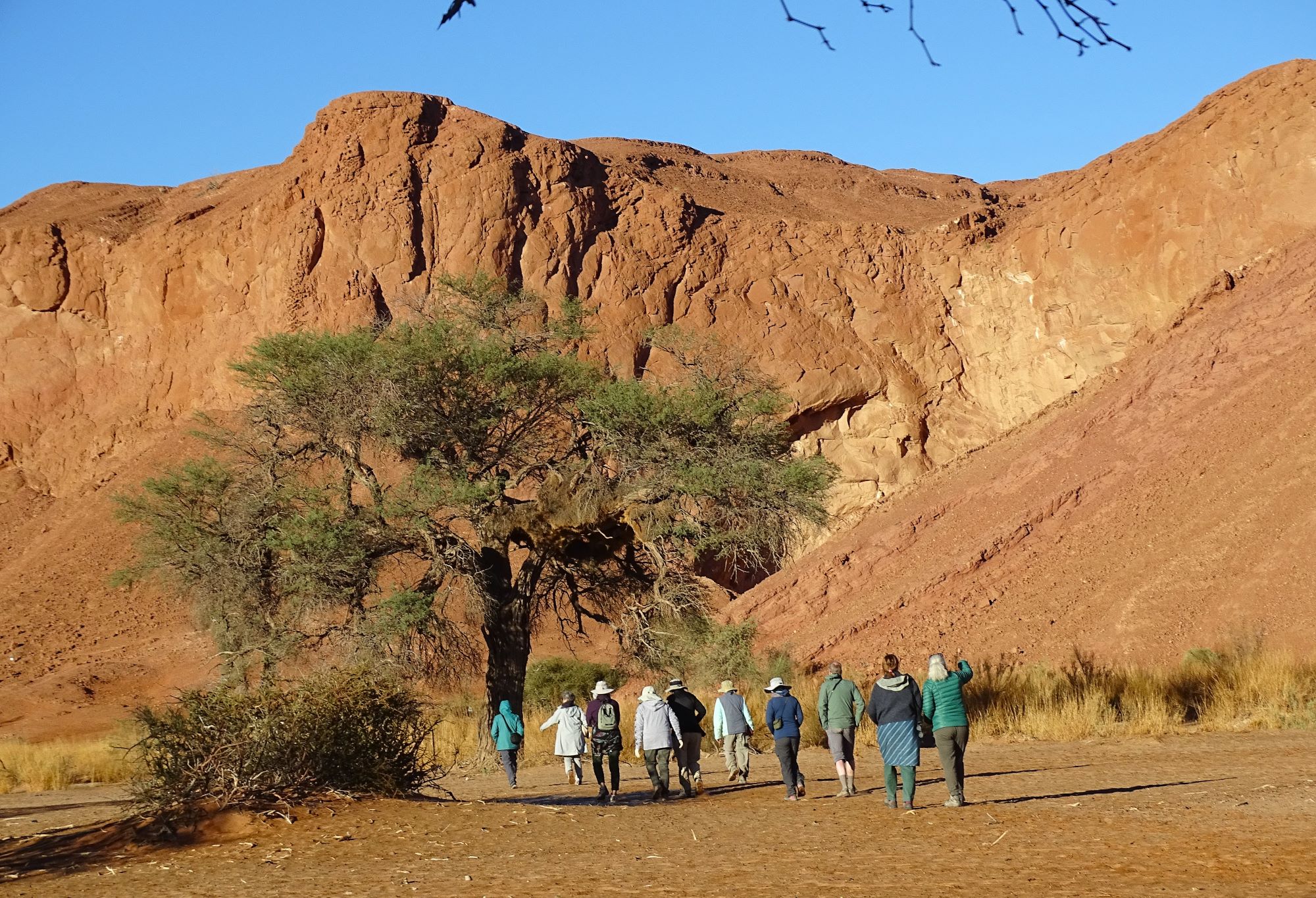 Sossusvlei Desert, Namib-Naukluft National Park, Namibia 