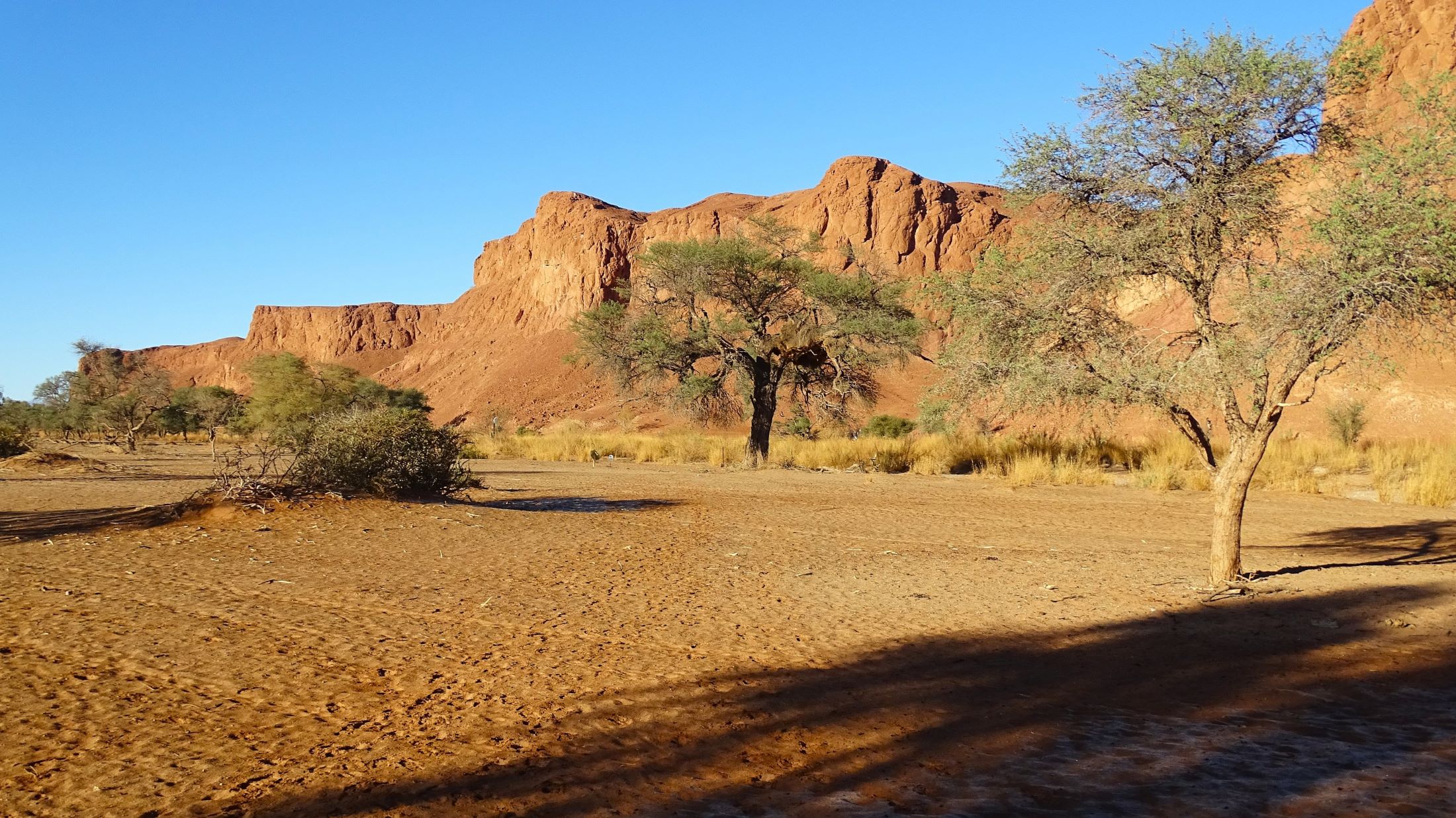 Namib-Naukluft National Park, Namibia 