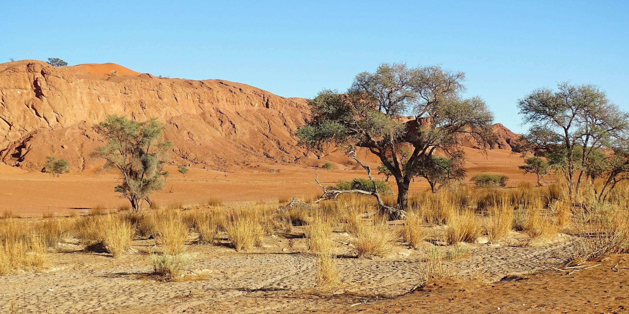 Sossusvlei Desert, Namib-Naukluft National Park, Namibia 