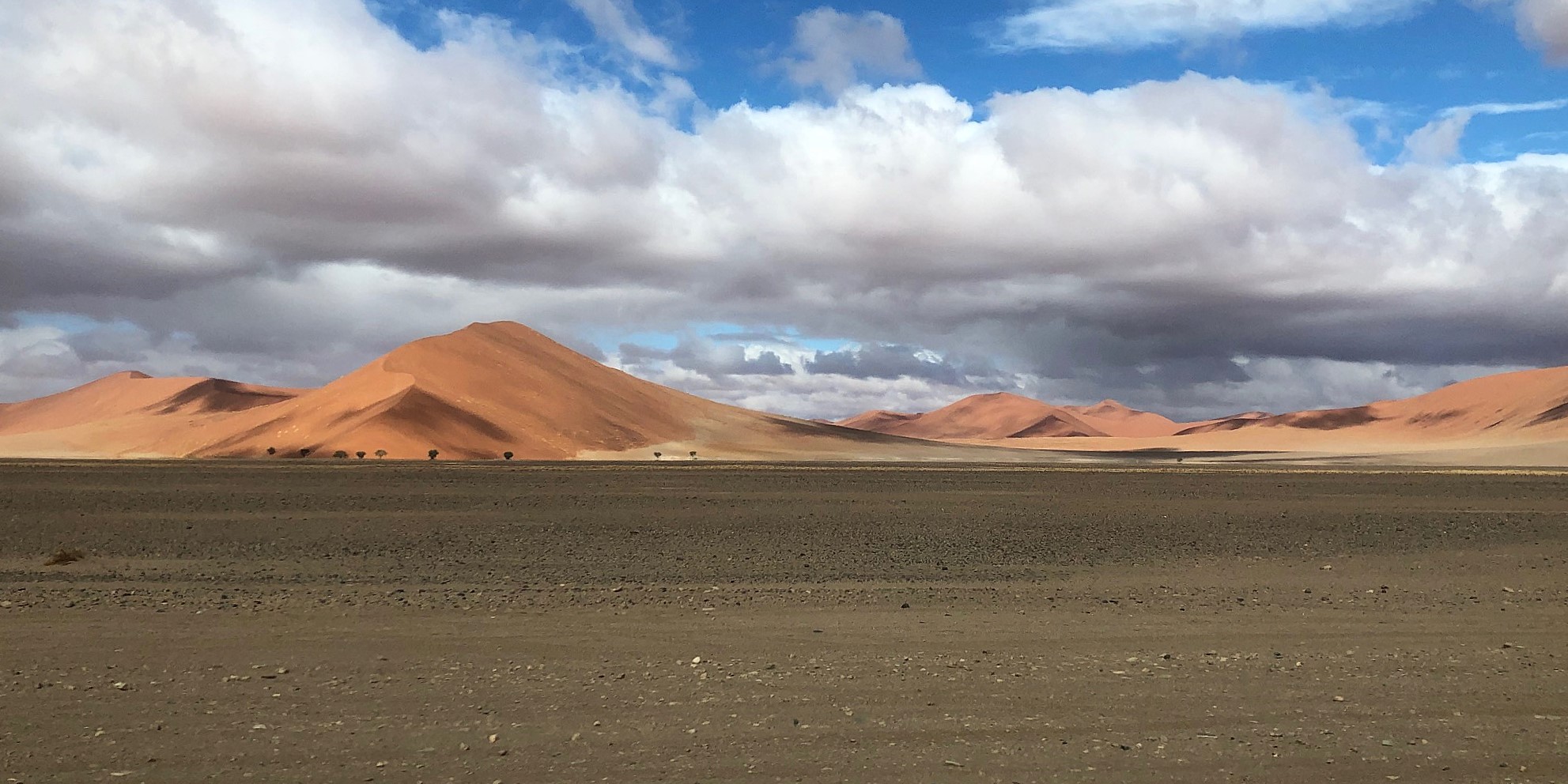 Namib-Naukluft National Park, Namibia 