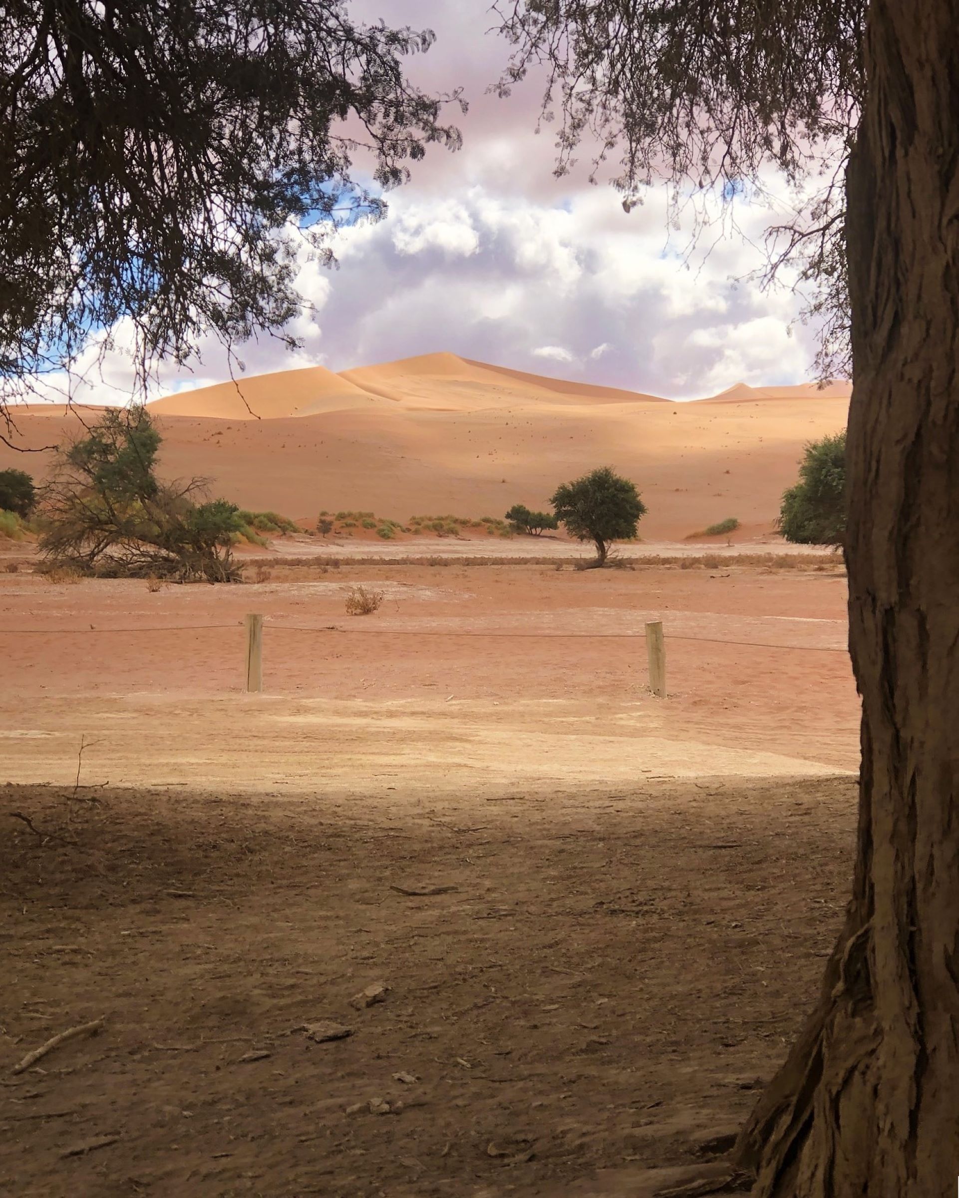 Sossusvlei Dunes, Namibia