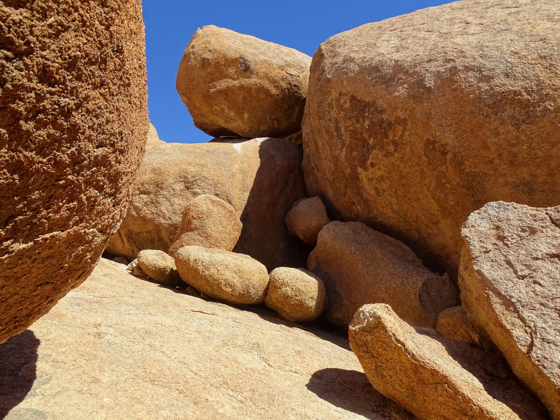 Bull's Party, Erongo, Namibia