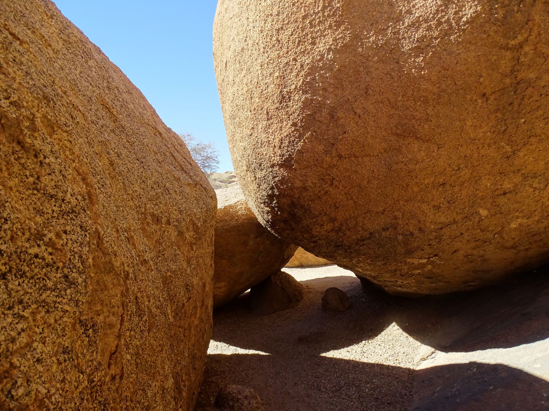 Bull's Party, Erongo, Namibia