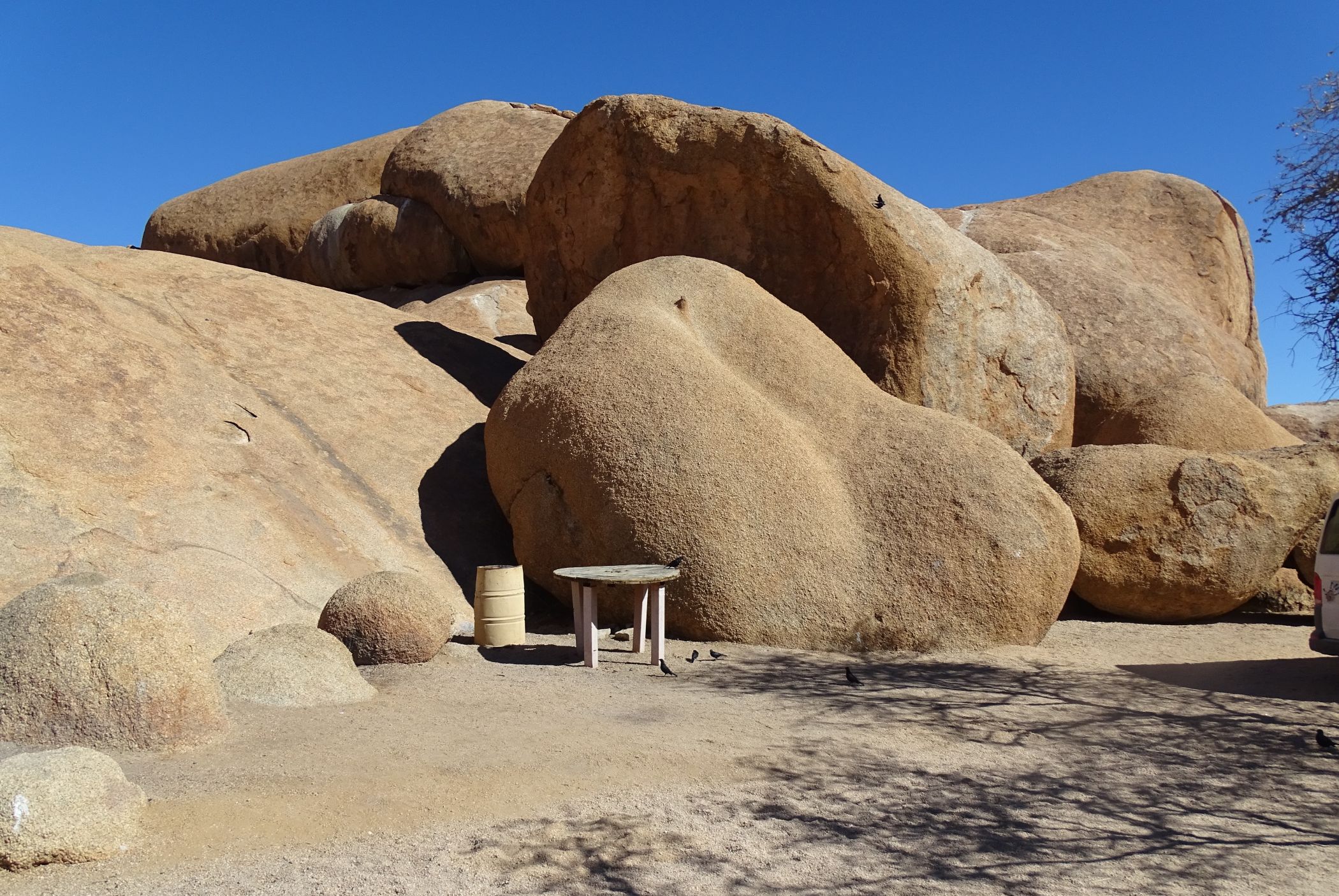 Bull's Party, Erongo, Namibia