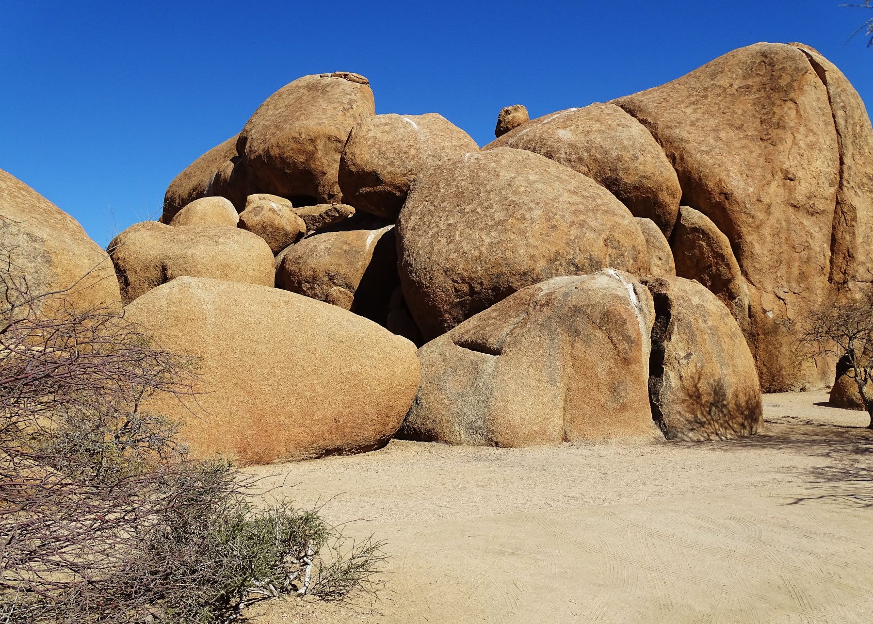 Bull's Party, Erongo, Namibia