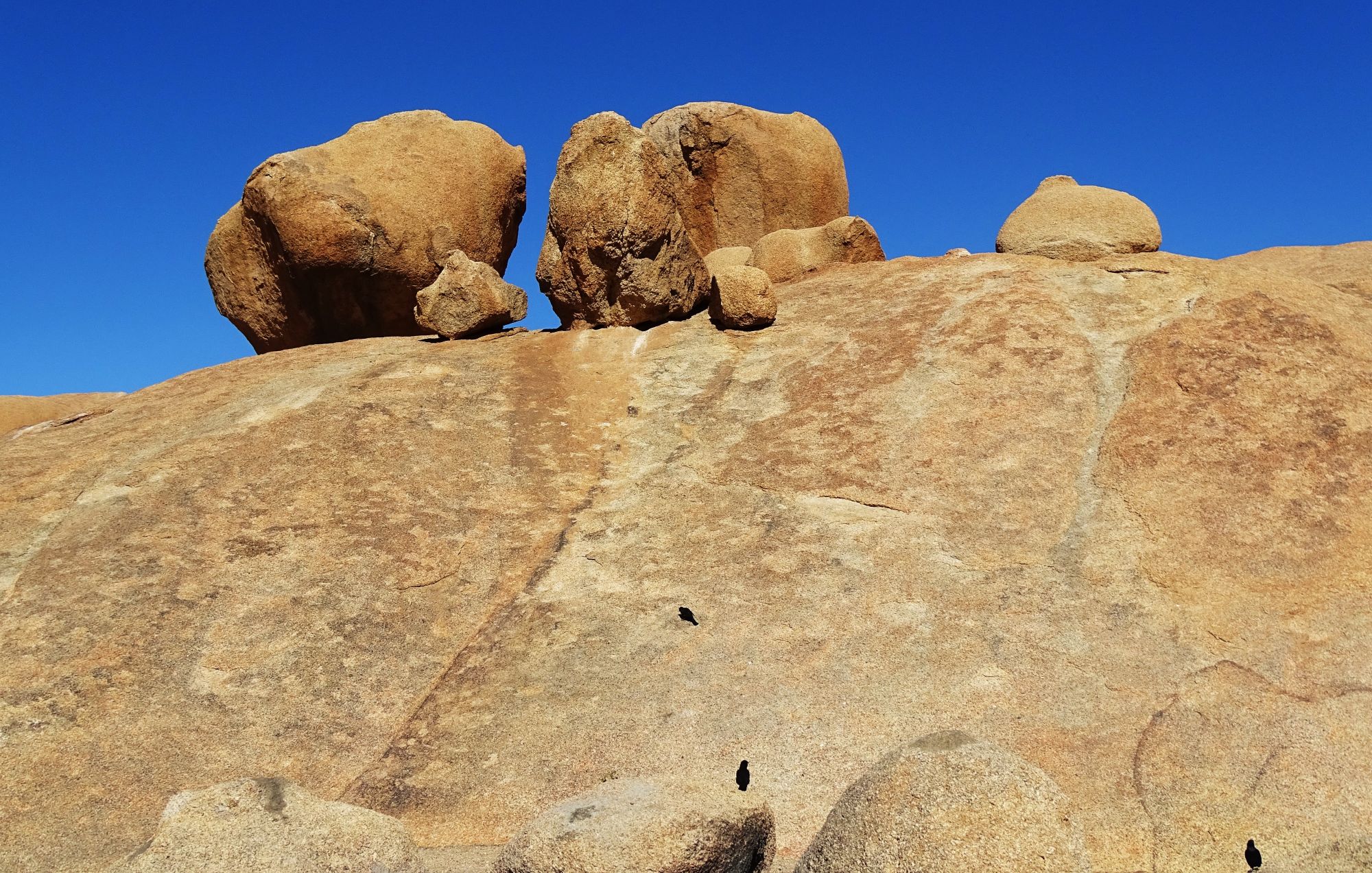 Bull's Party, Erongo, Namibia