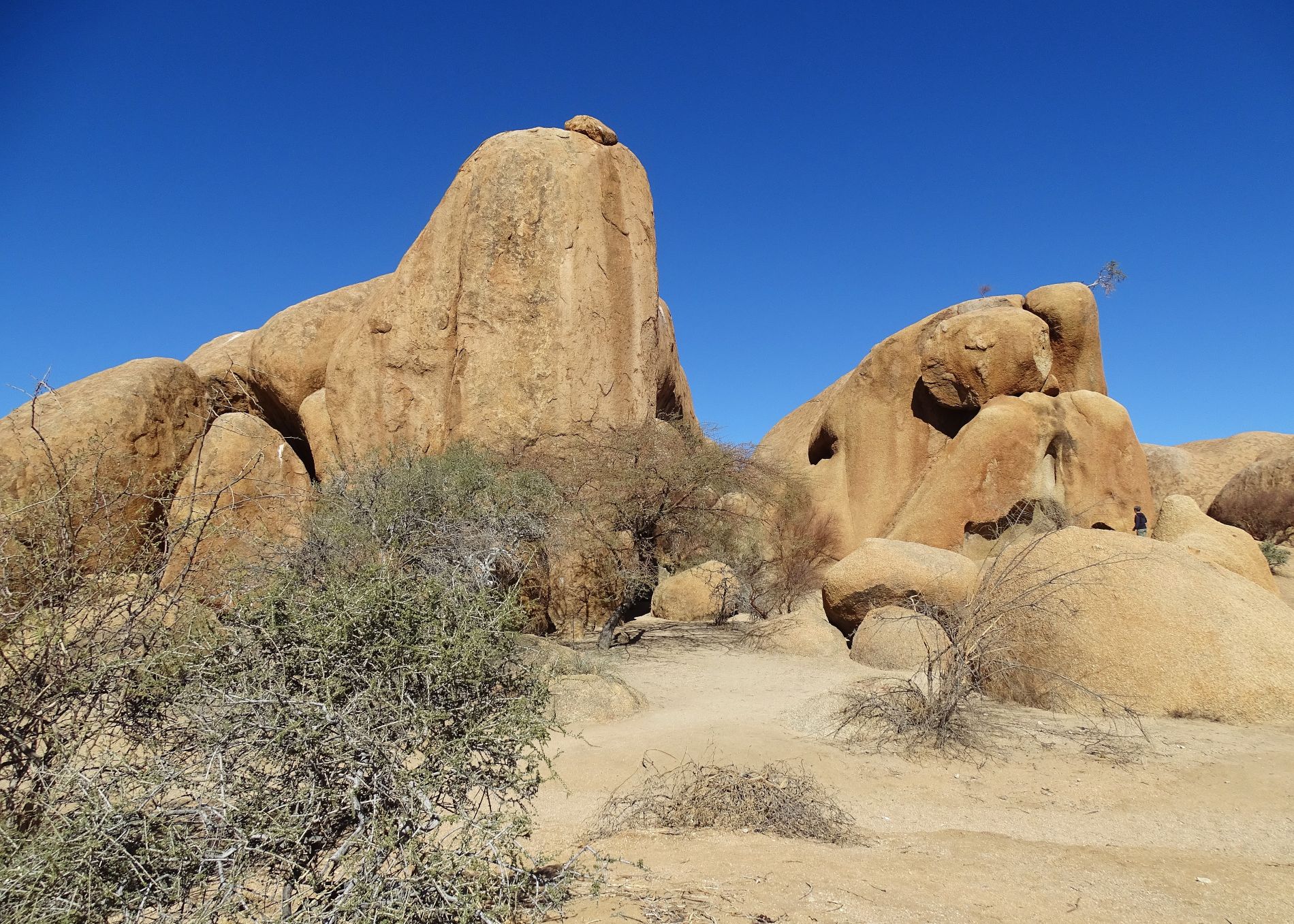 Bull's Party, Erongo, Namibia