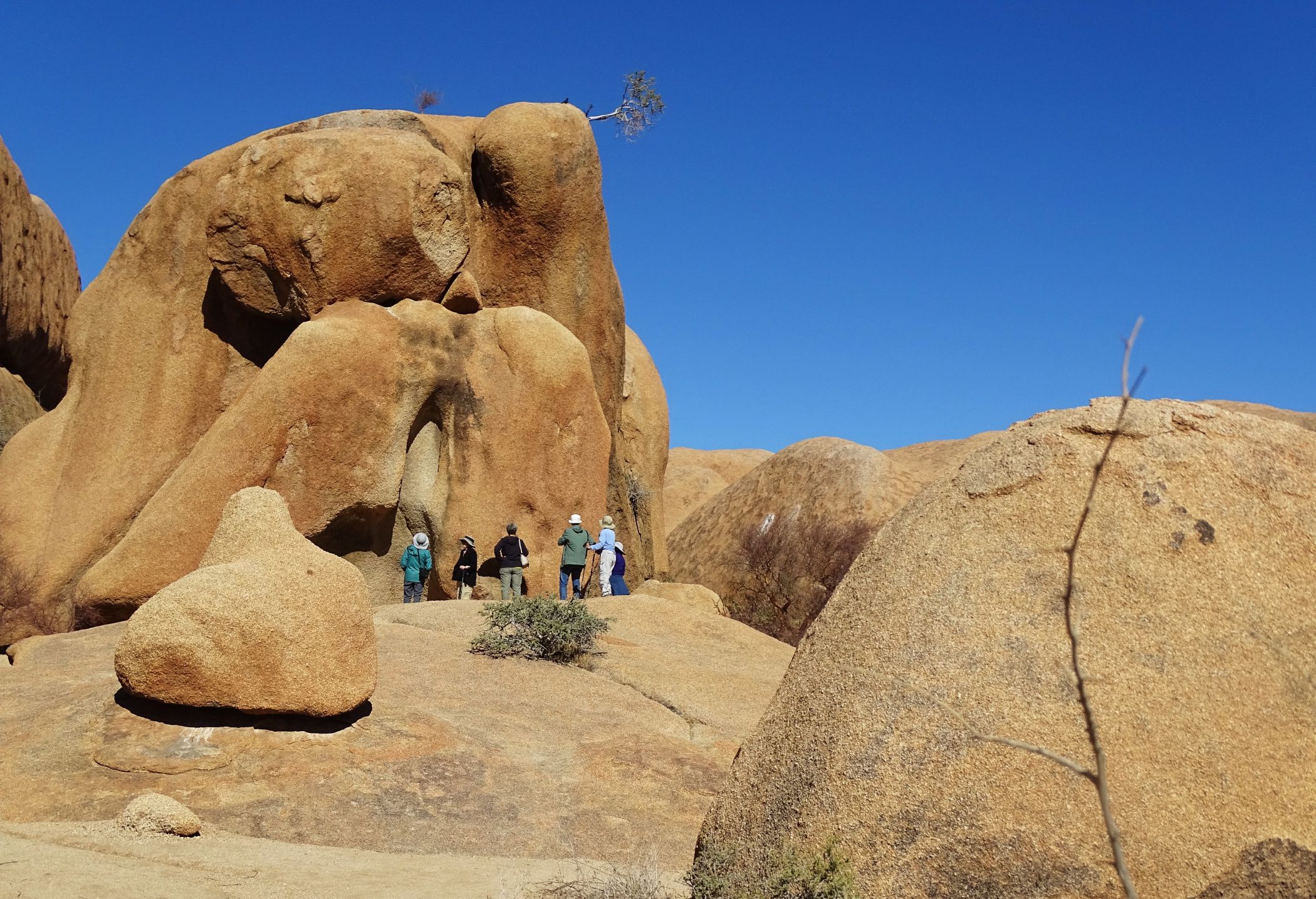 Bull's Party, Erongo, Namibia