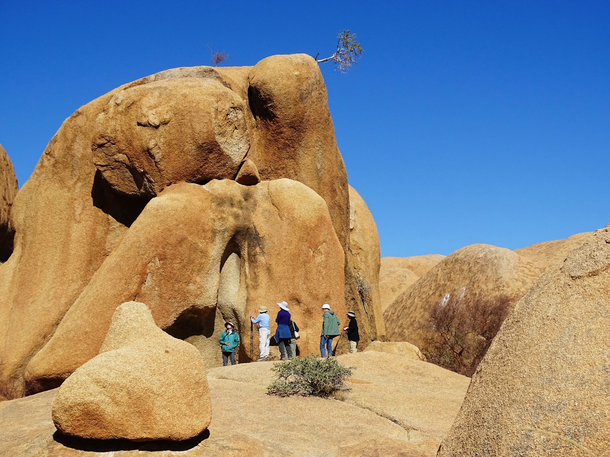 Bull's Party, Erongo, Namibia