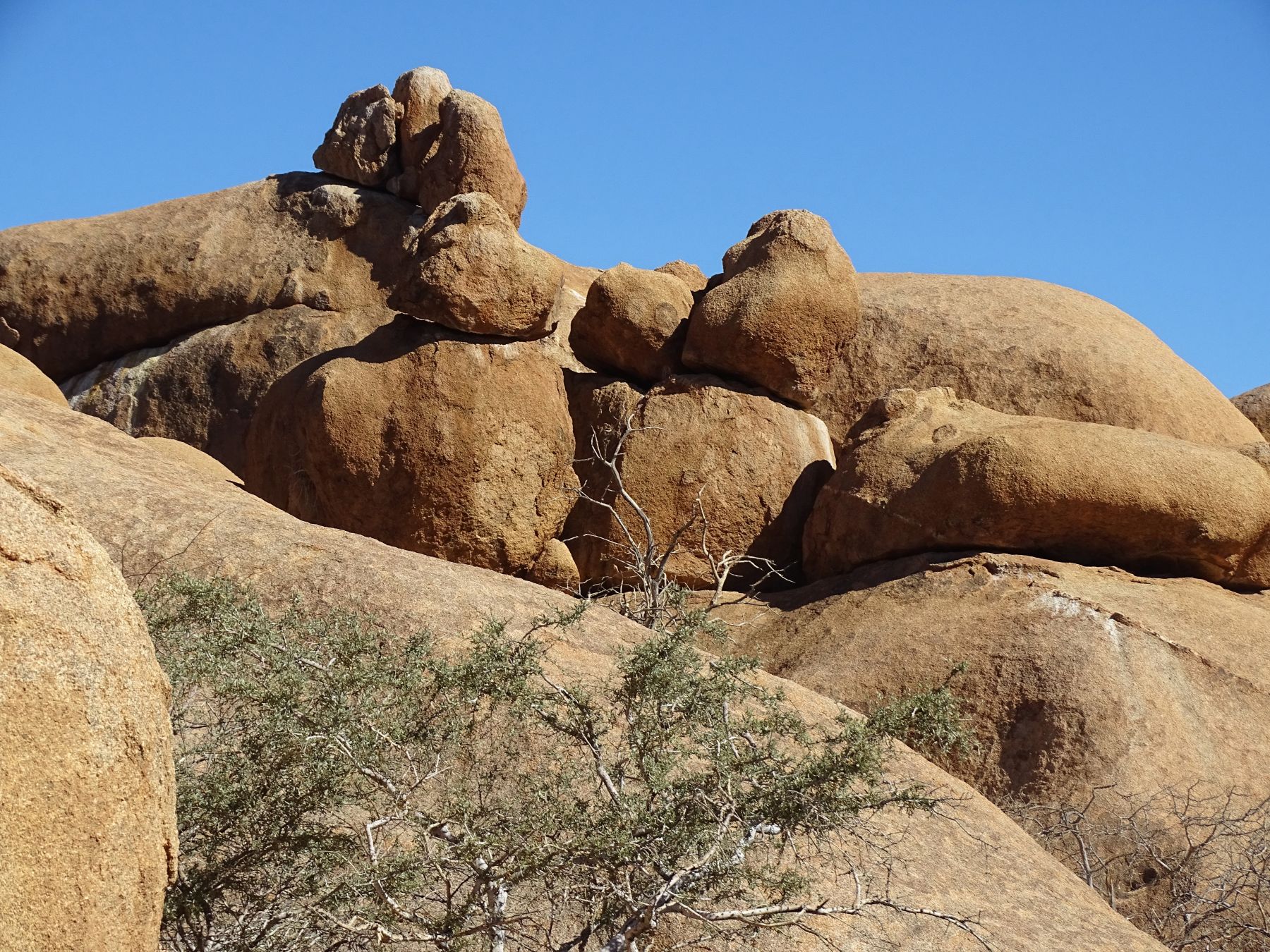 Bull's Party, Erongo, Namibia