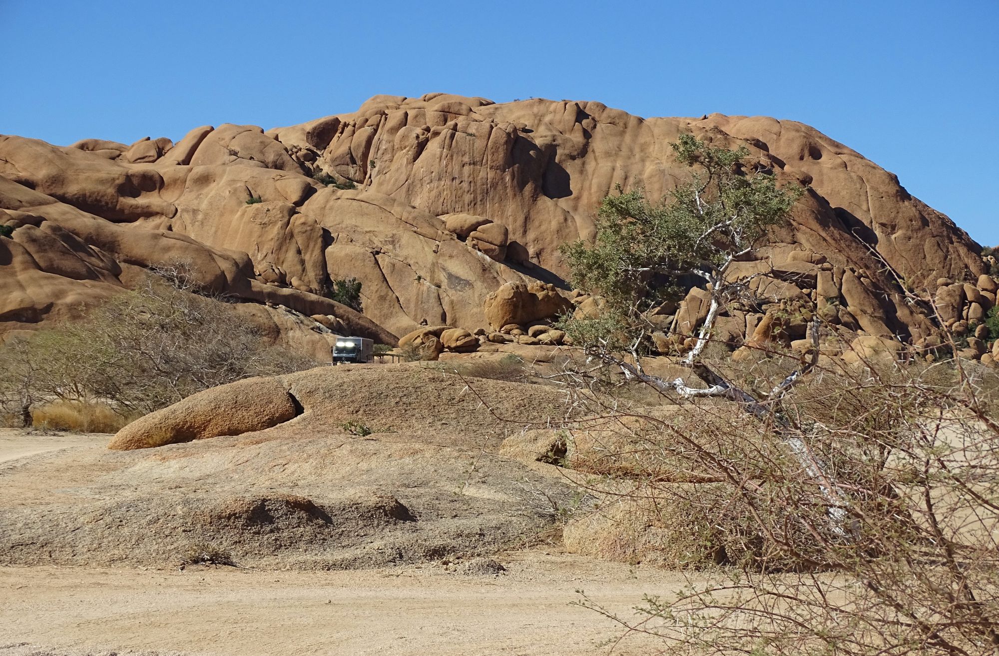 Bull's Party, Erongo, Namibia