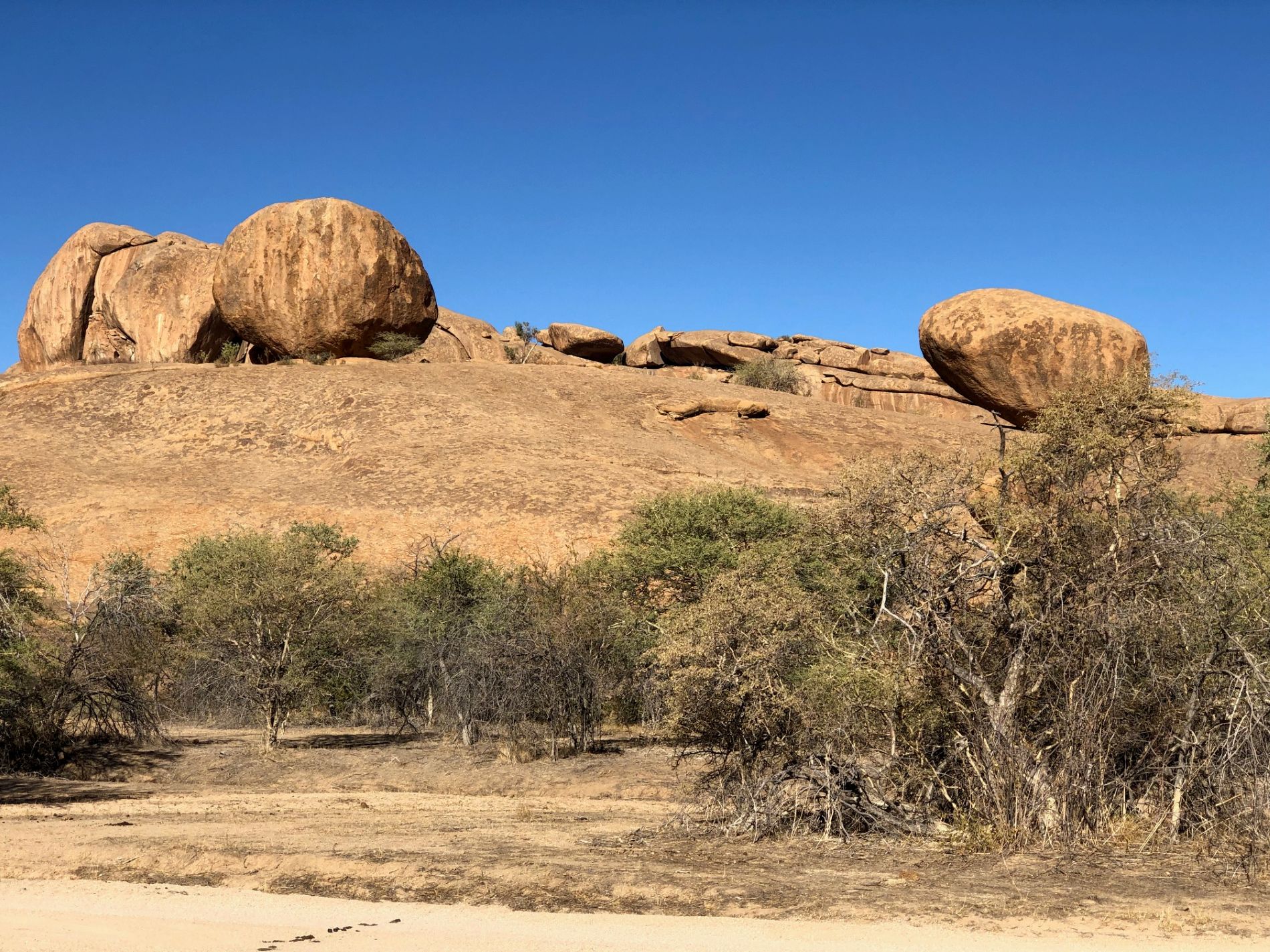 Bull's Party, Erongo, Namibia