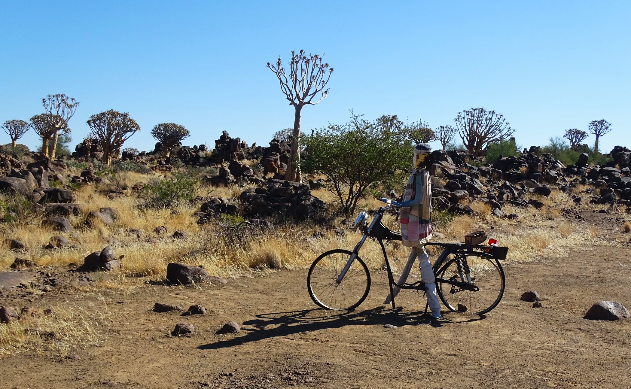 Garas Park Rest Camp, Keetmanshoop, Namibia