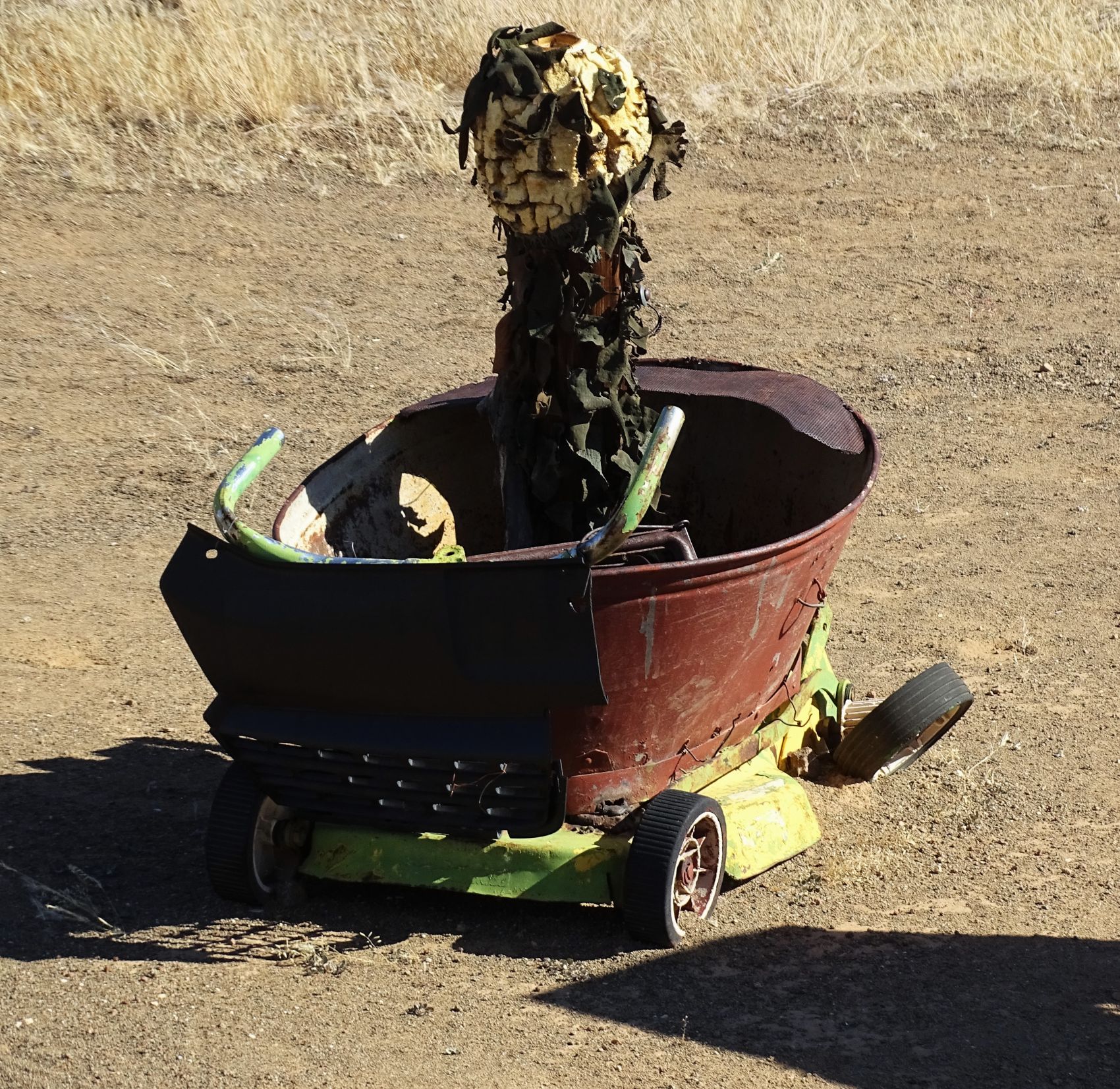 Garas Park Rest Camp, Keetmanshoop, Namibia