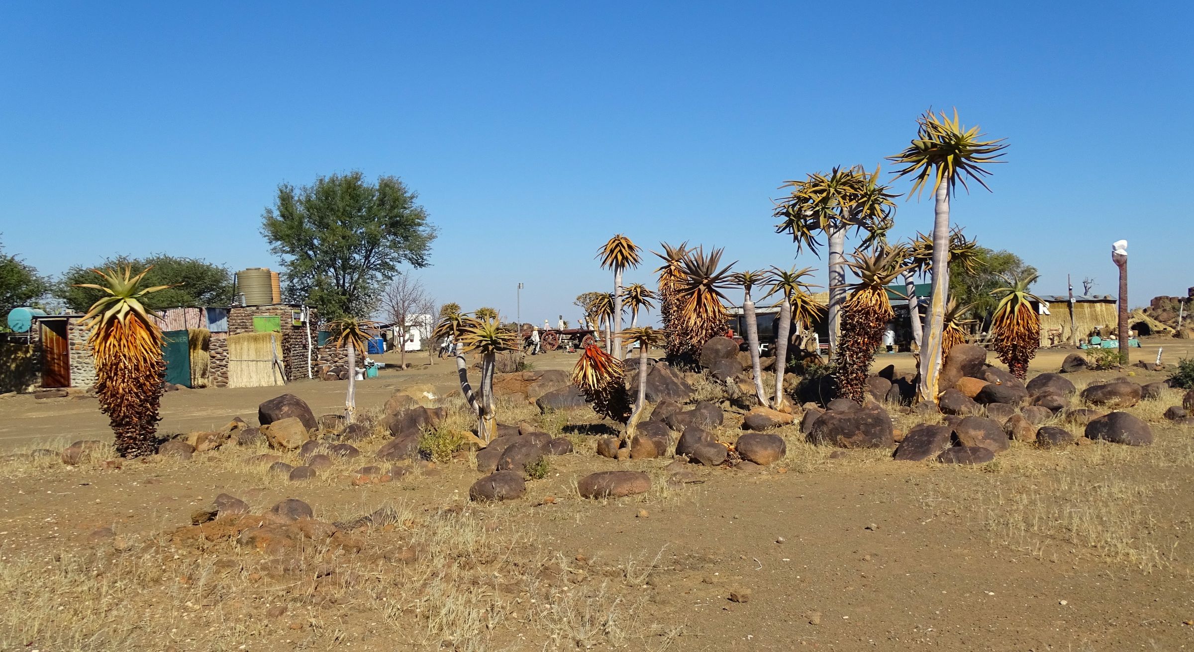 Garas Park Rest Camp, Keetmanshoop, Namibia