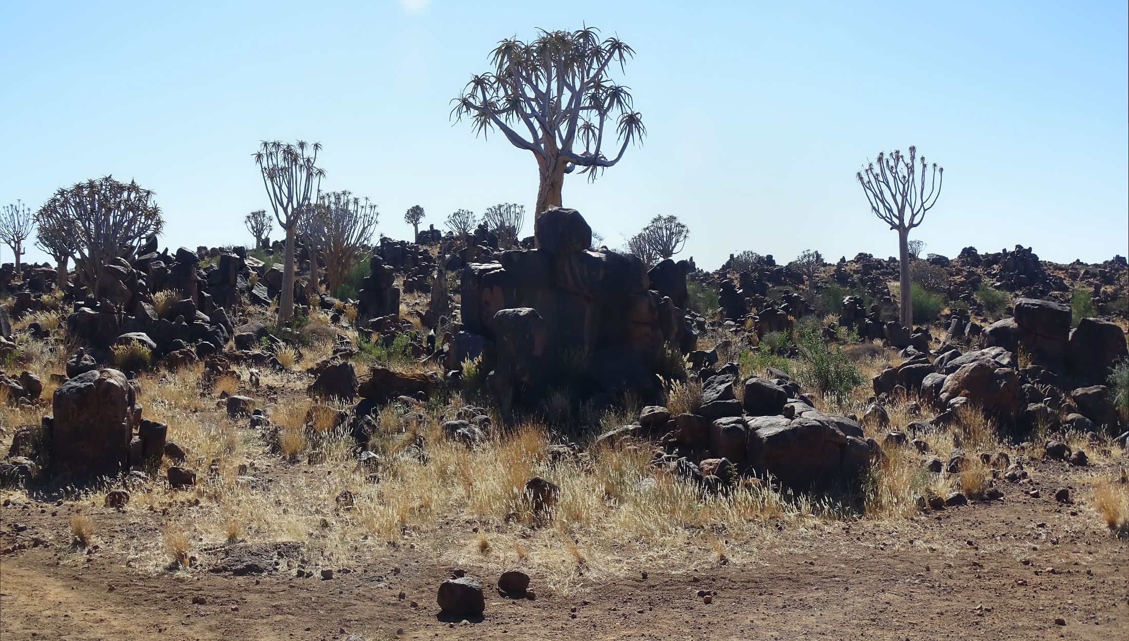 Dolorite,  Garas Park Rest Camp, Keetmanshoop, Namibia